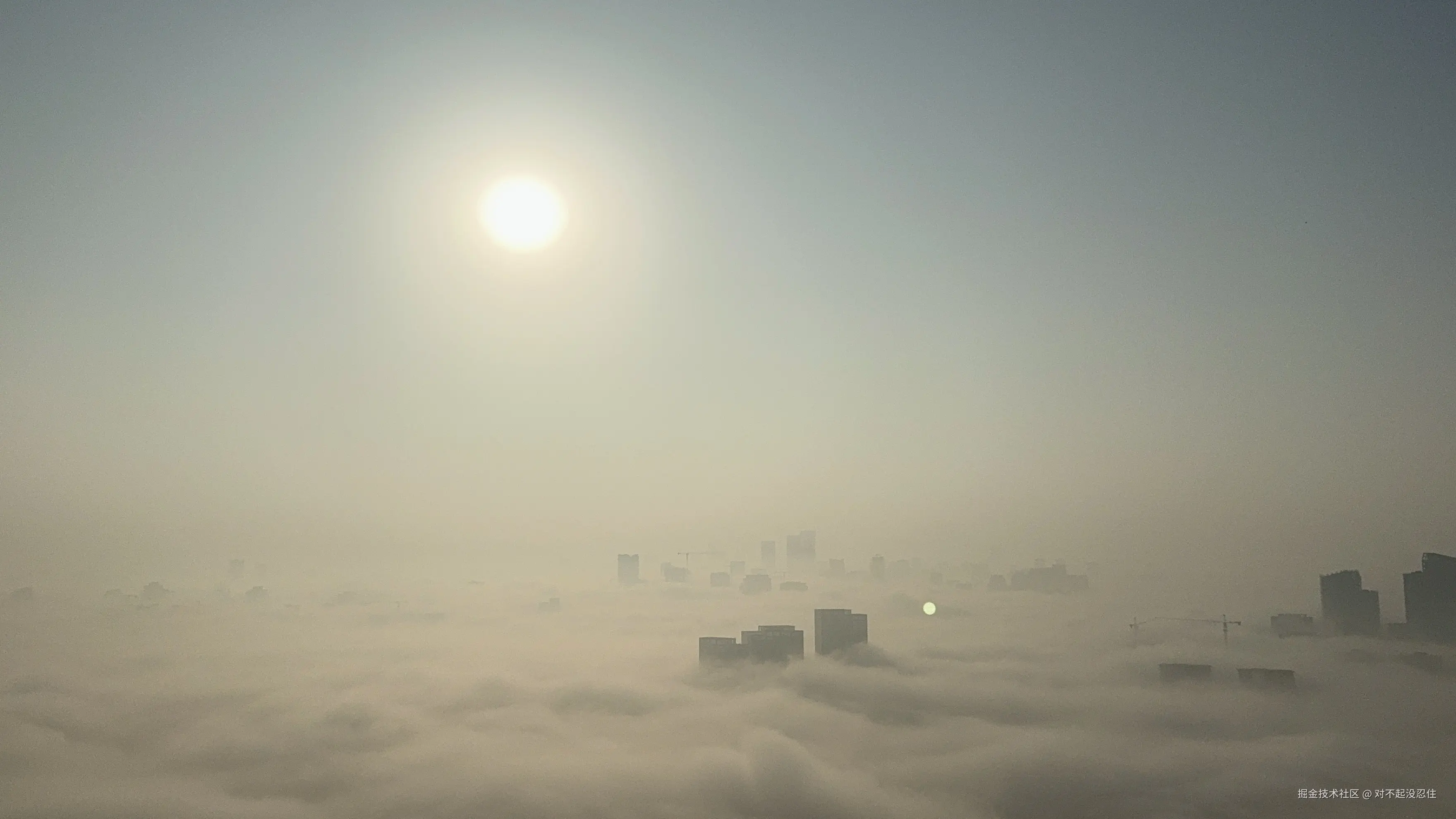 对不起没忍住于2025-11-27 10:29发布的图片