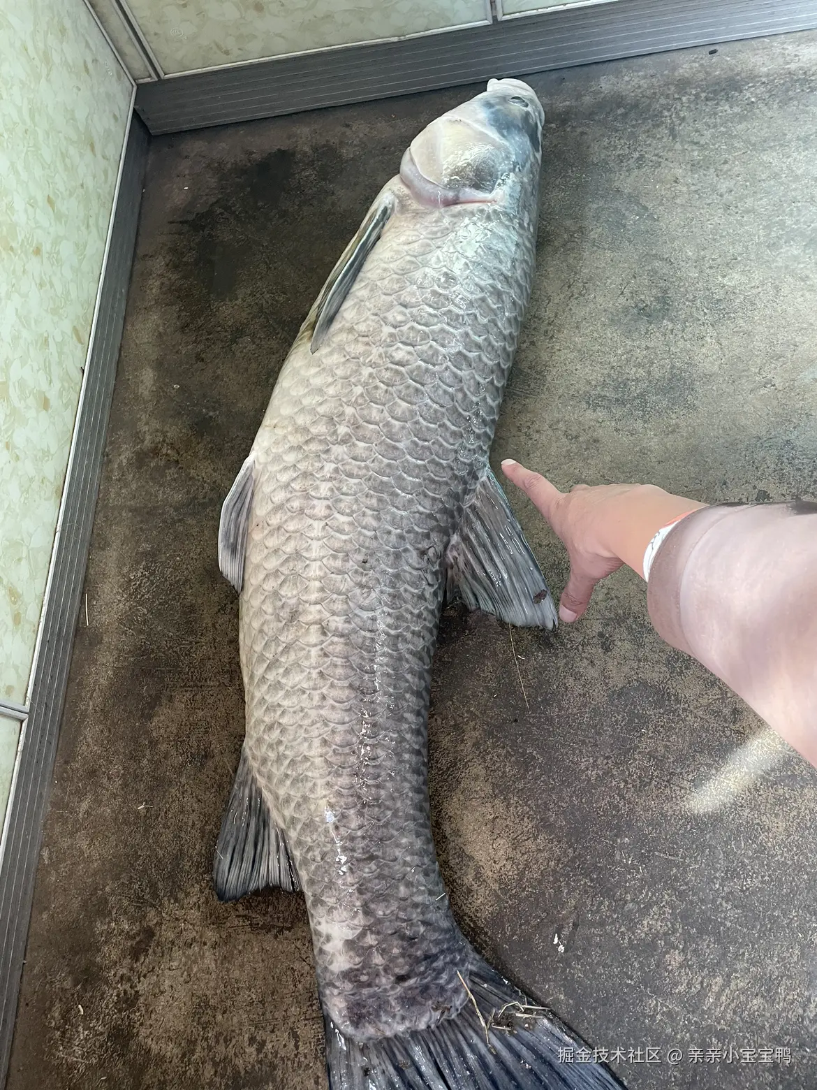 亲亲小宝宝鸭于2026-02-23 11:03发布的图片