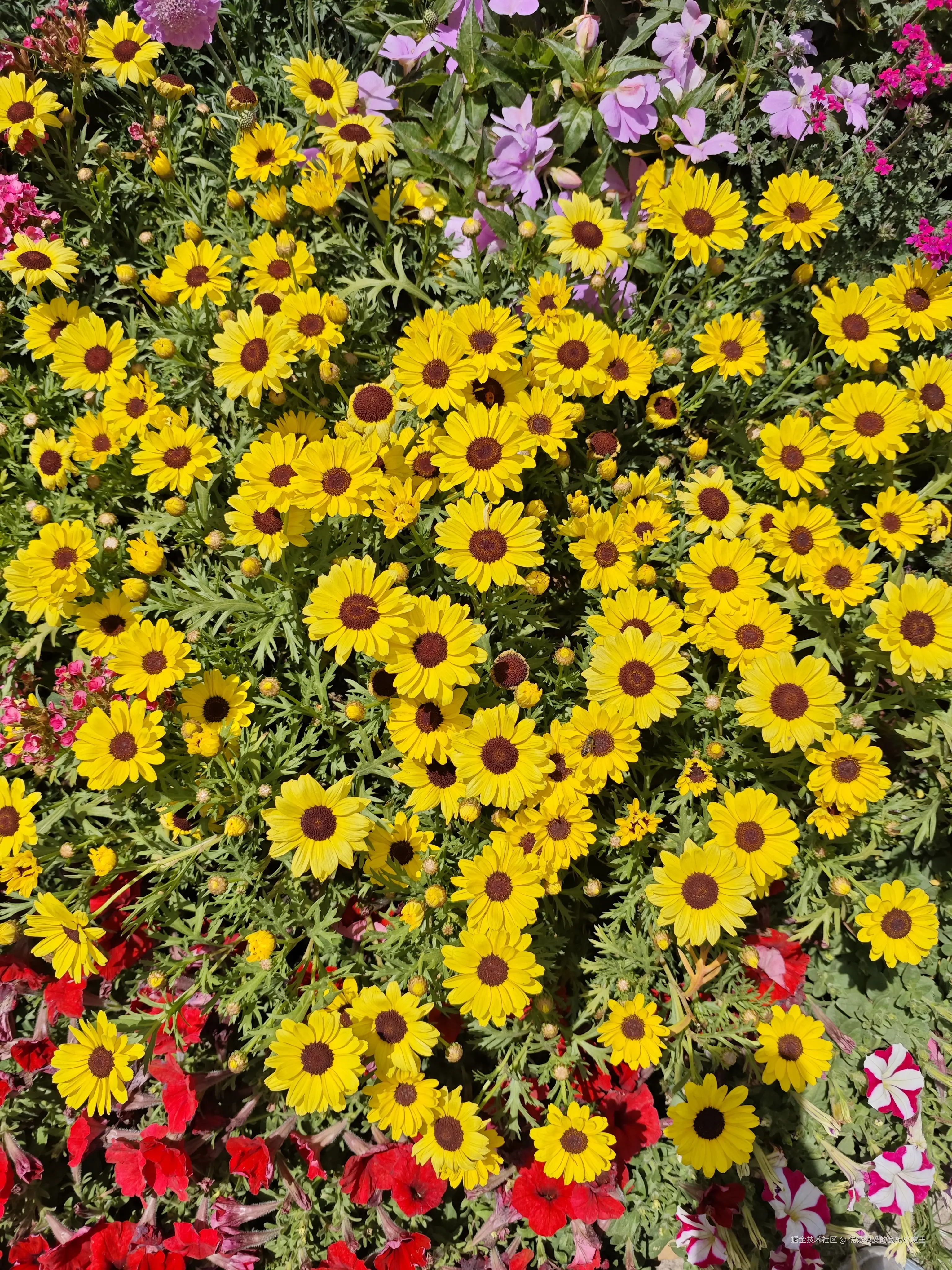 优秀稳妥的金枪小魔王于2025-04-15 13:28发布的图片