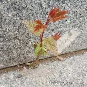 Android Framework 学习之旅