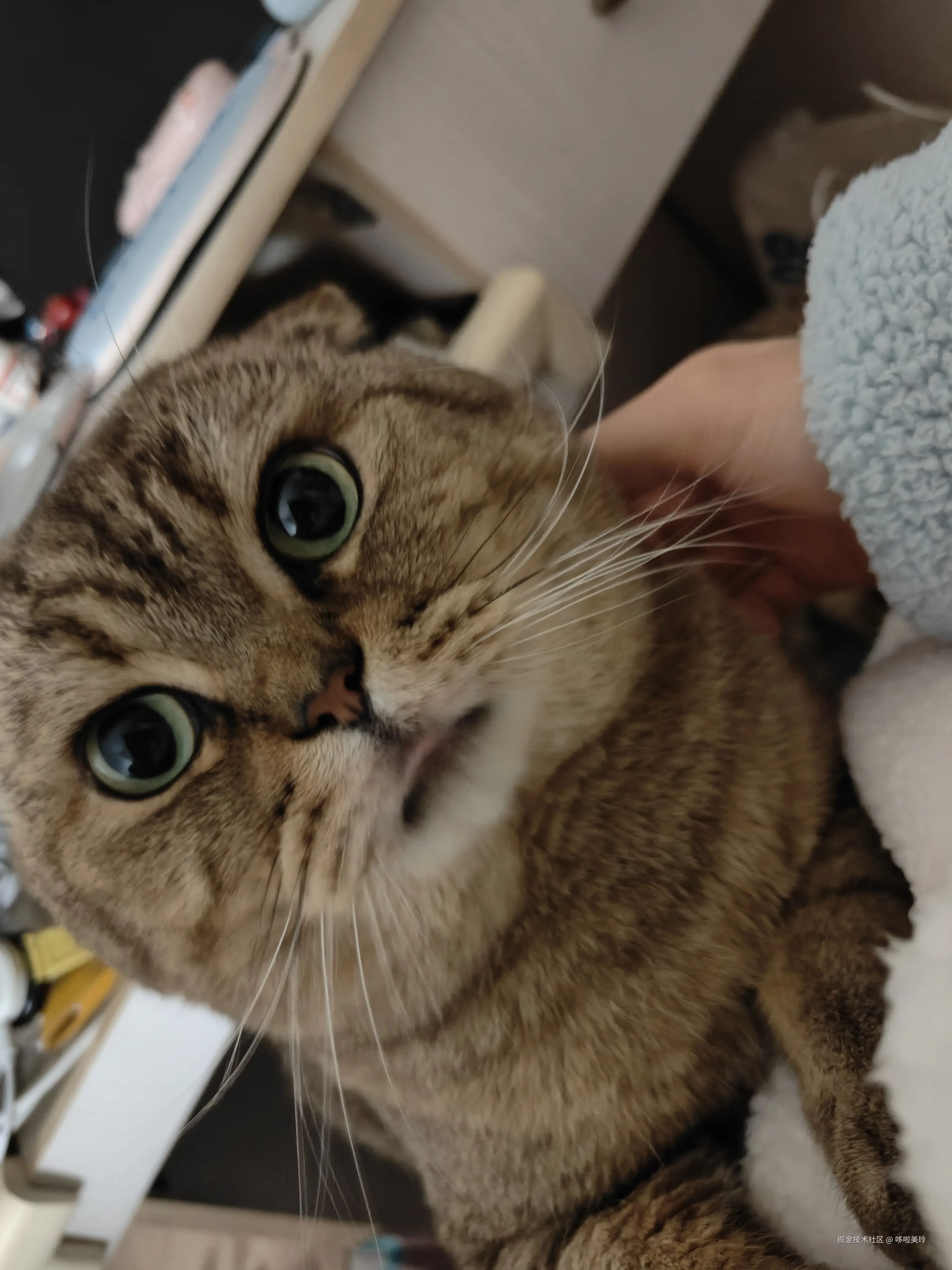 哆啦美玲于2024-12-09 19:34发布的图片