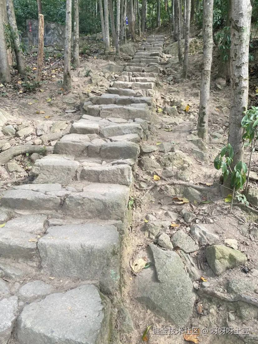 呀呀呀土豆于2025-11-22 13:03发布的图片