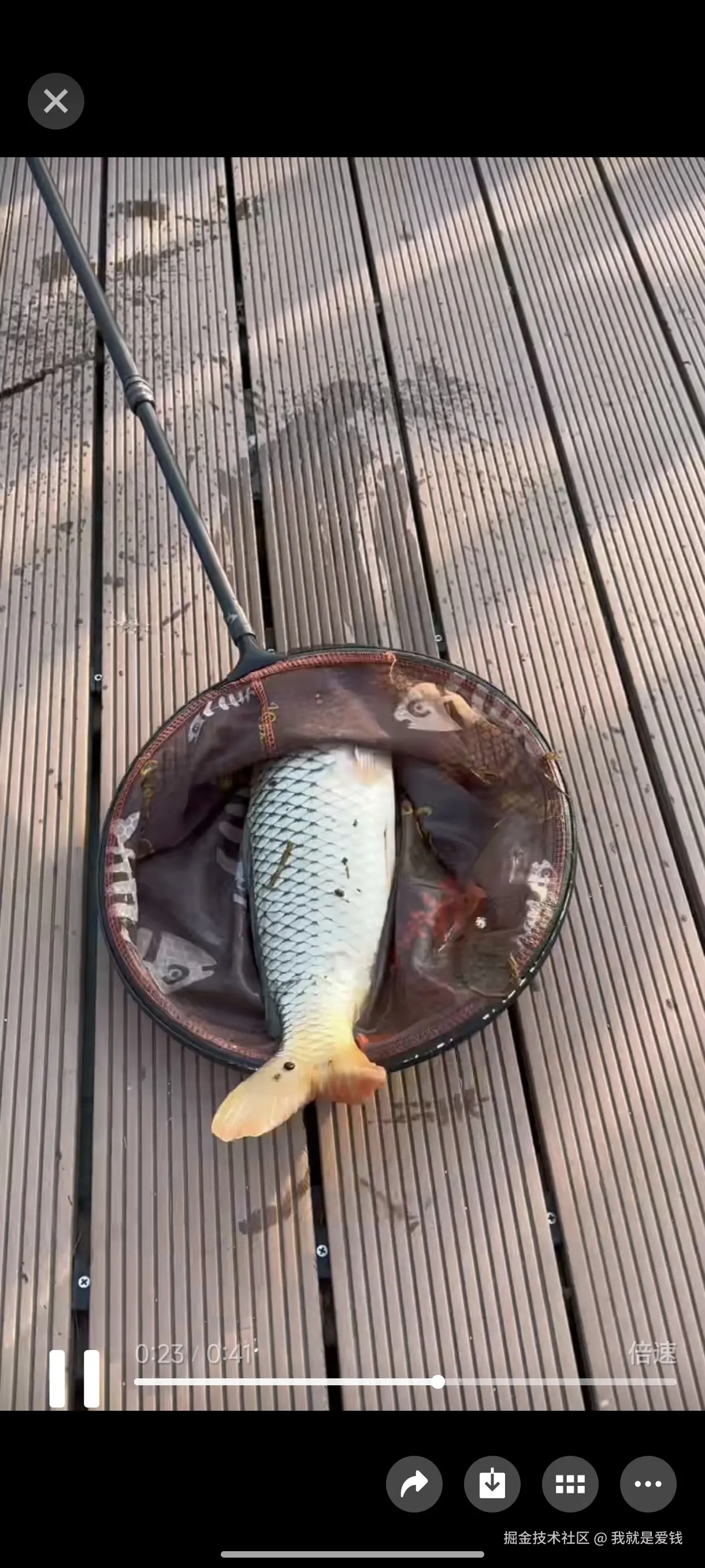 我就是爱钱于2025-11-01 14:14发布的图片