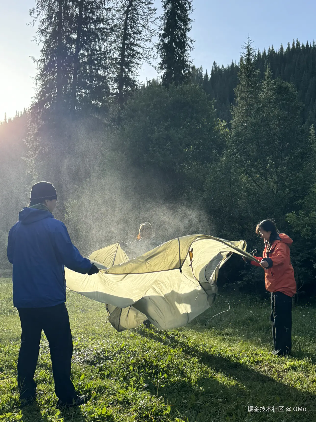 OMo于2026-01-23 09:58发布的图片