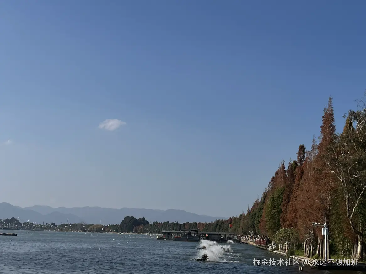 永远不想加班于2025-12-15 10:57发布的图片