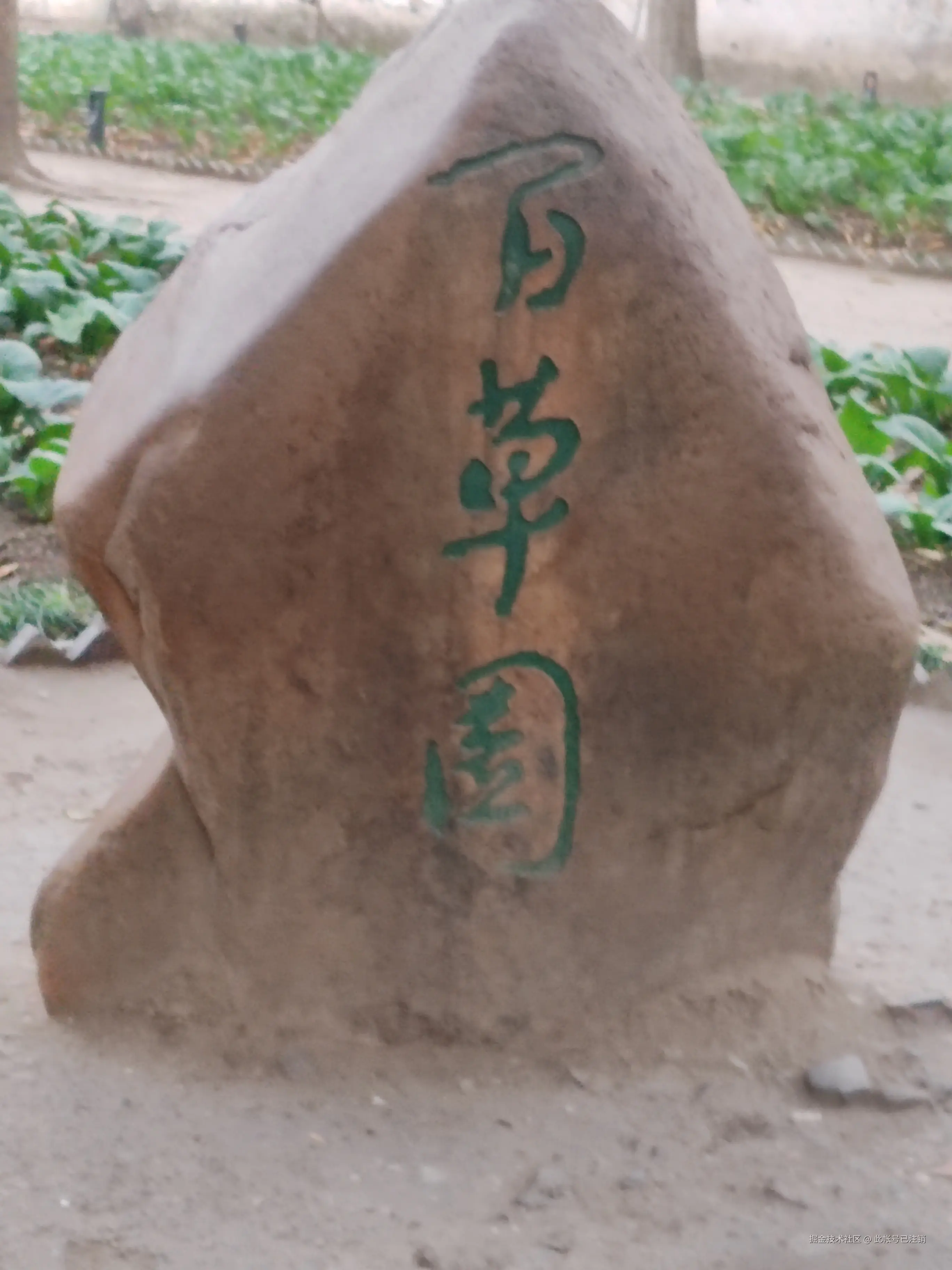 此帐号已注销于2025-12-08 11:06发布的图片