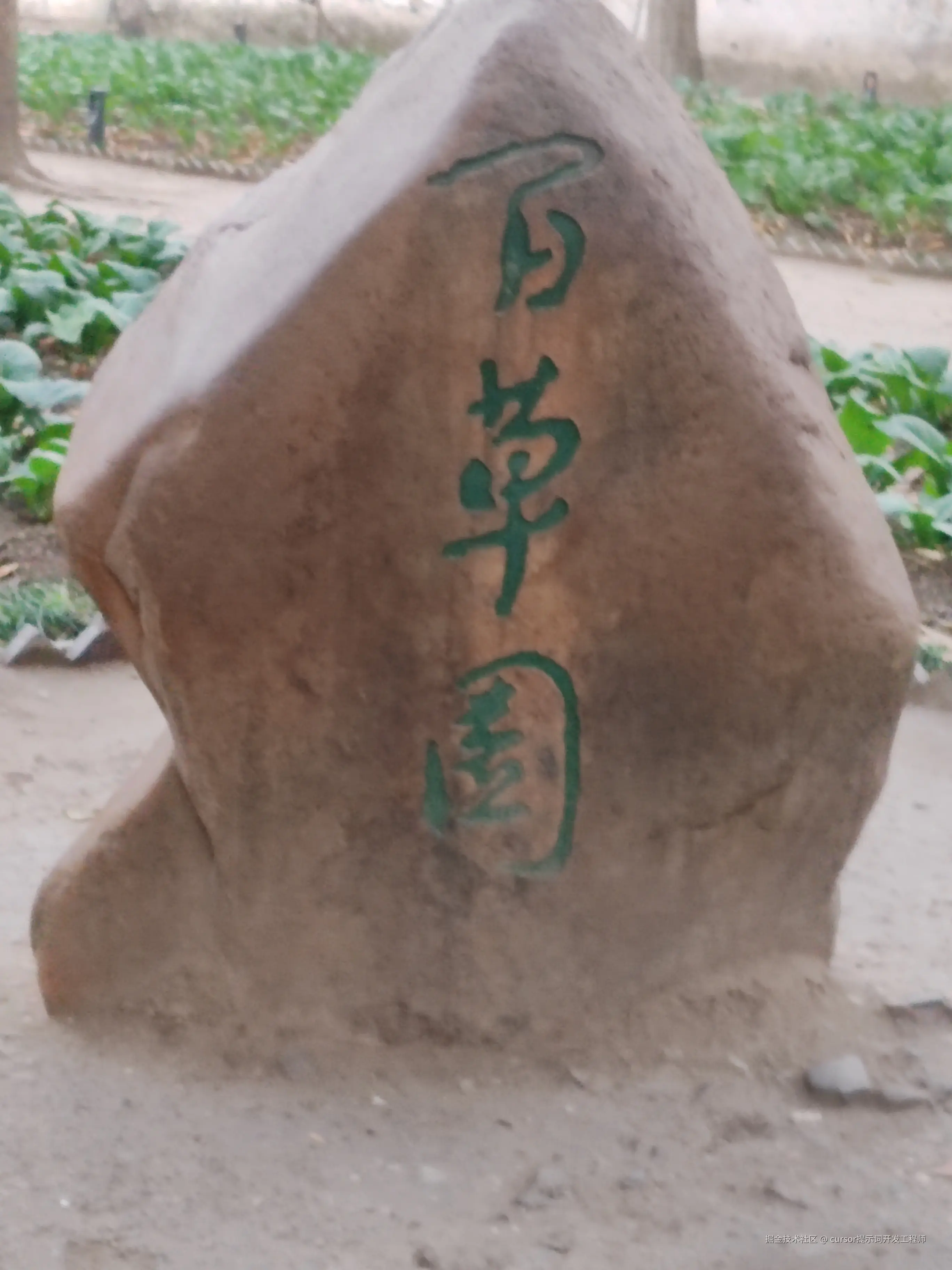 cursor提示词开发工程师于2025-12-08 11:06发布的图片