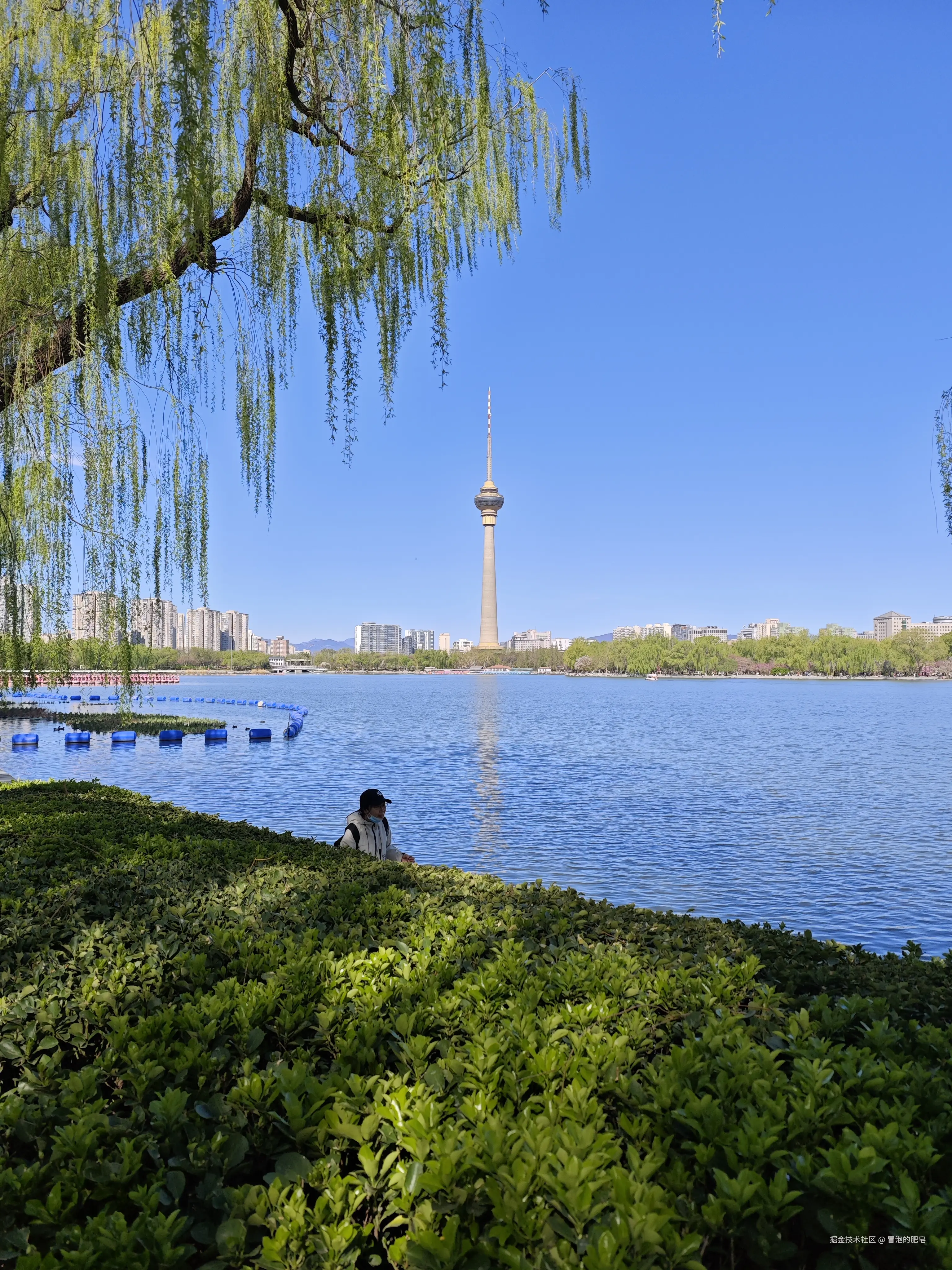 冒泡的肥皂于2025-04-05 11:12发布的图片