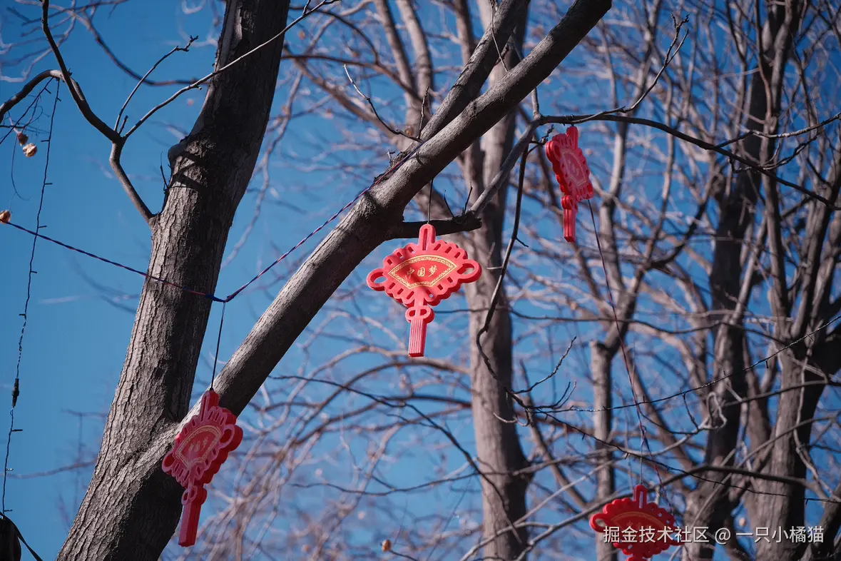 一只小橘猫于2025-02-03 12:01发布的图片