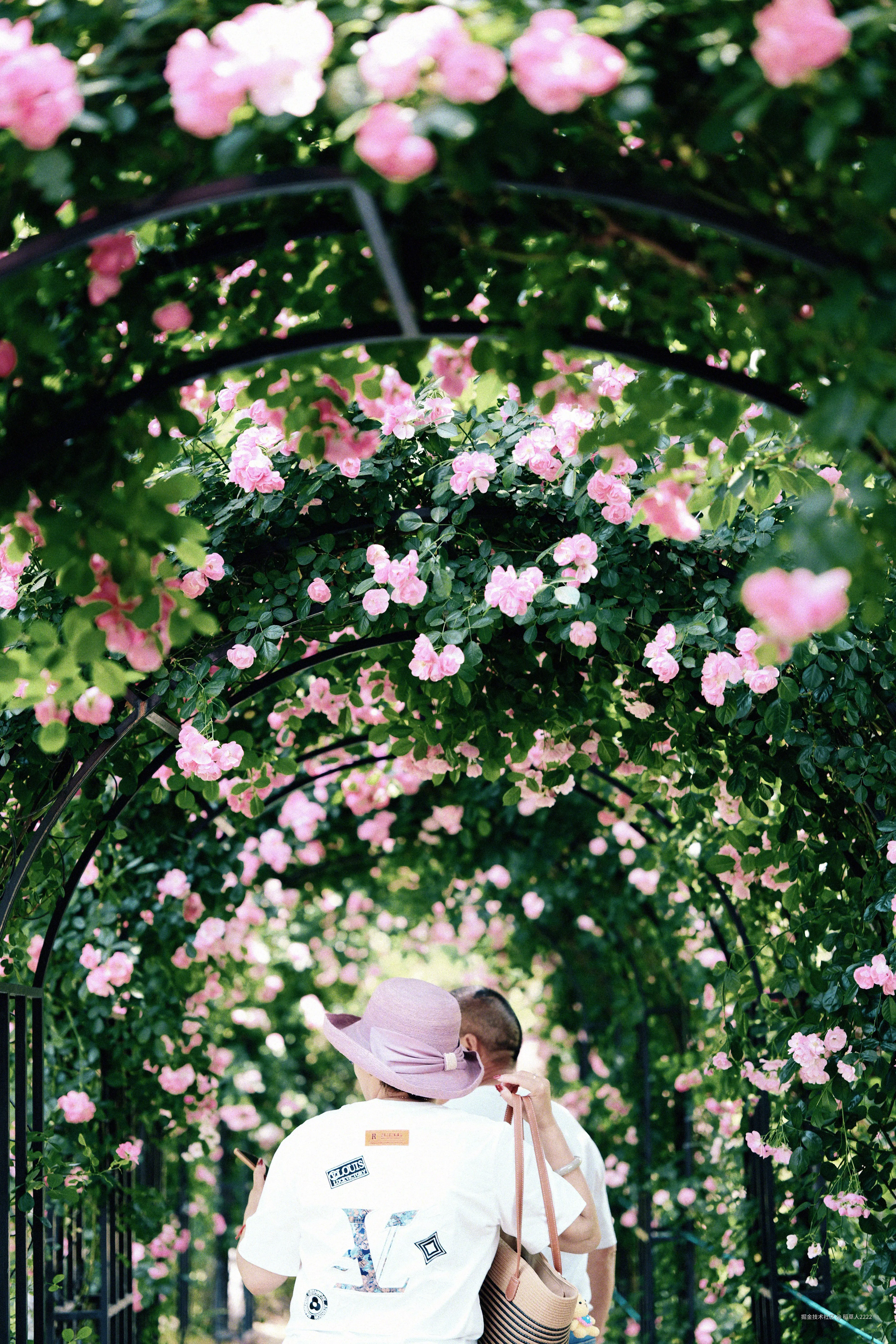 稻草人2222于2025-05-12 18:42发布的图片