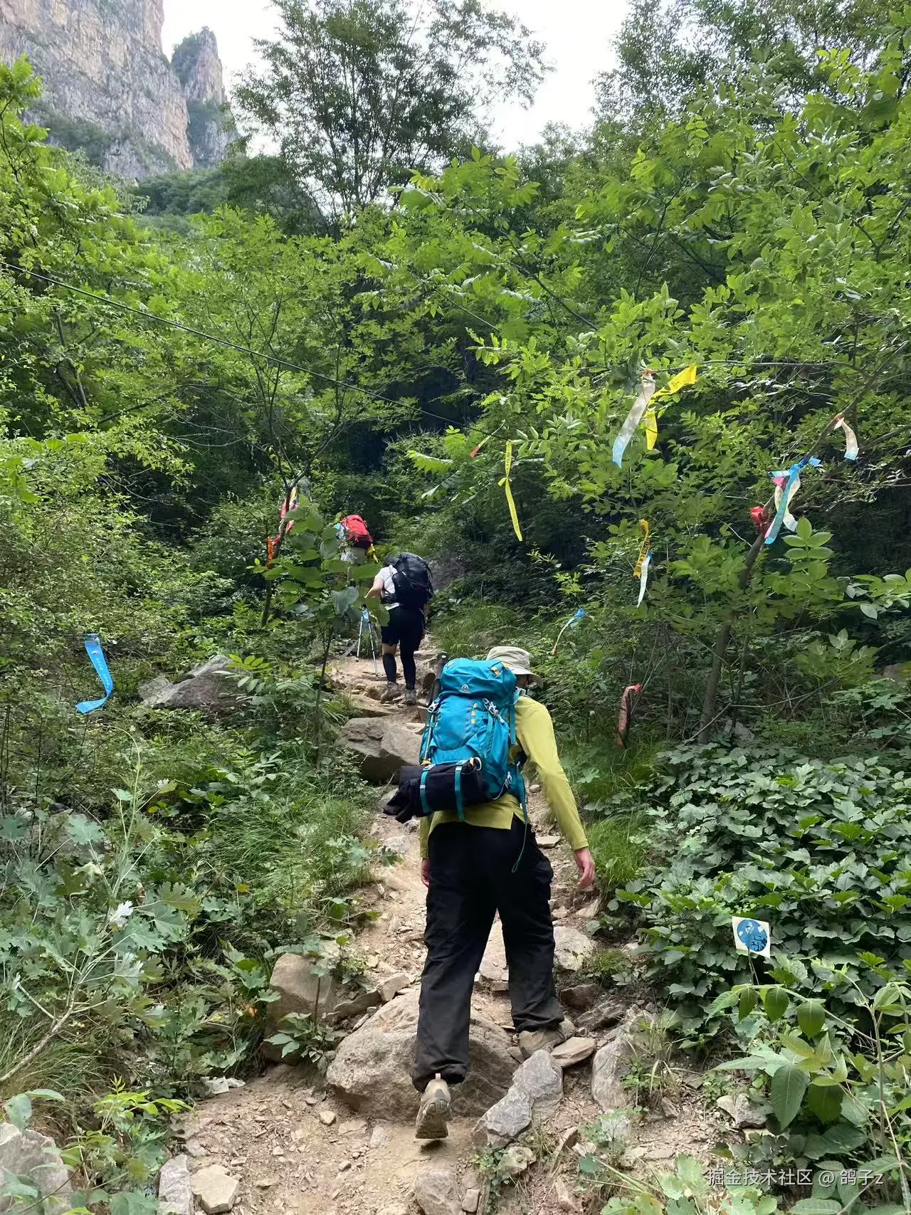 鸽子z于2025-06-16 09:27发布的图片