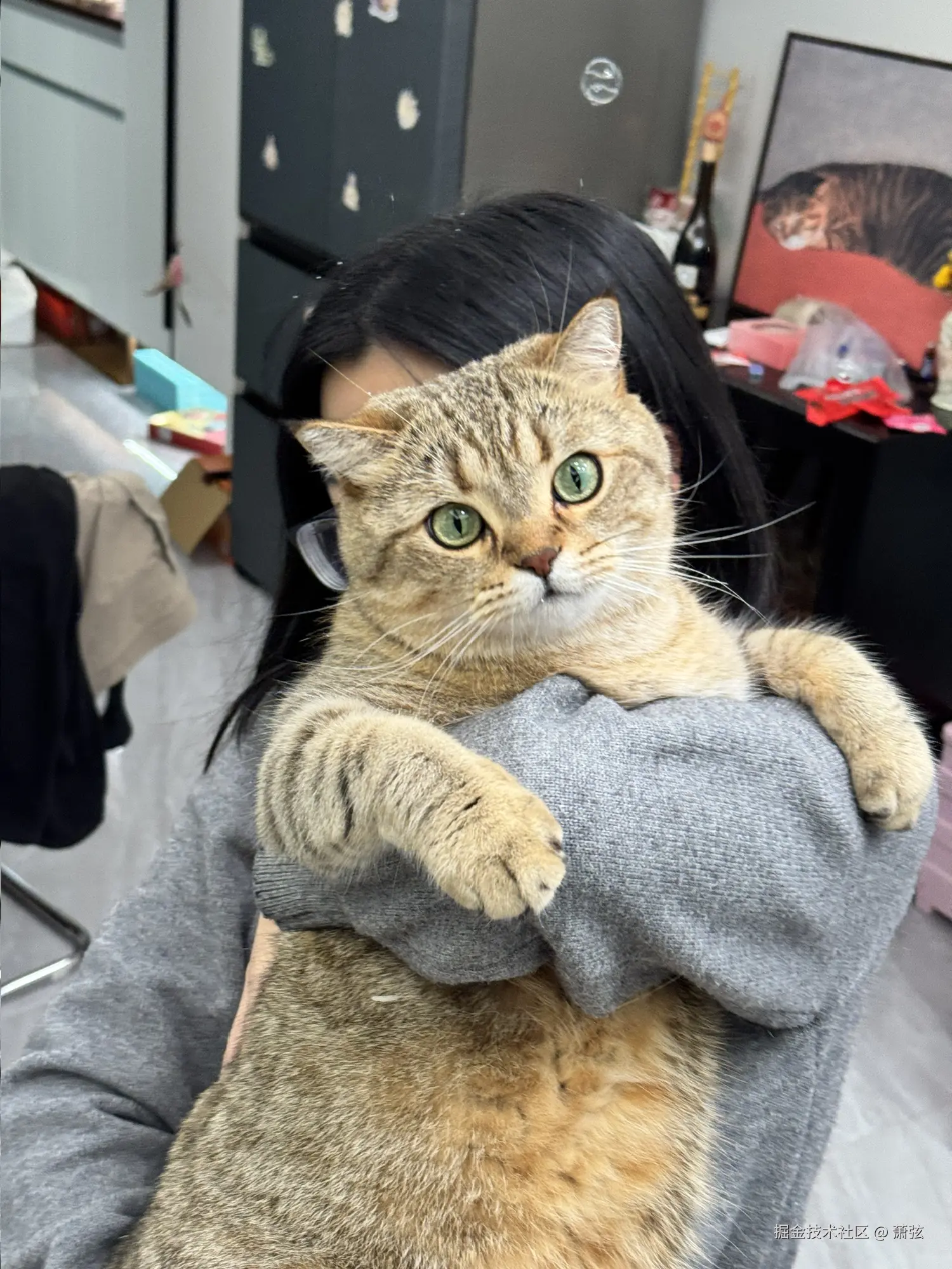 萧弦于2026-04-03 09:28发布的图片