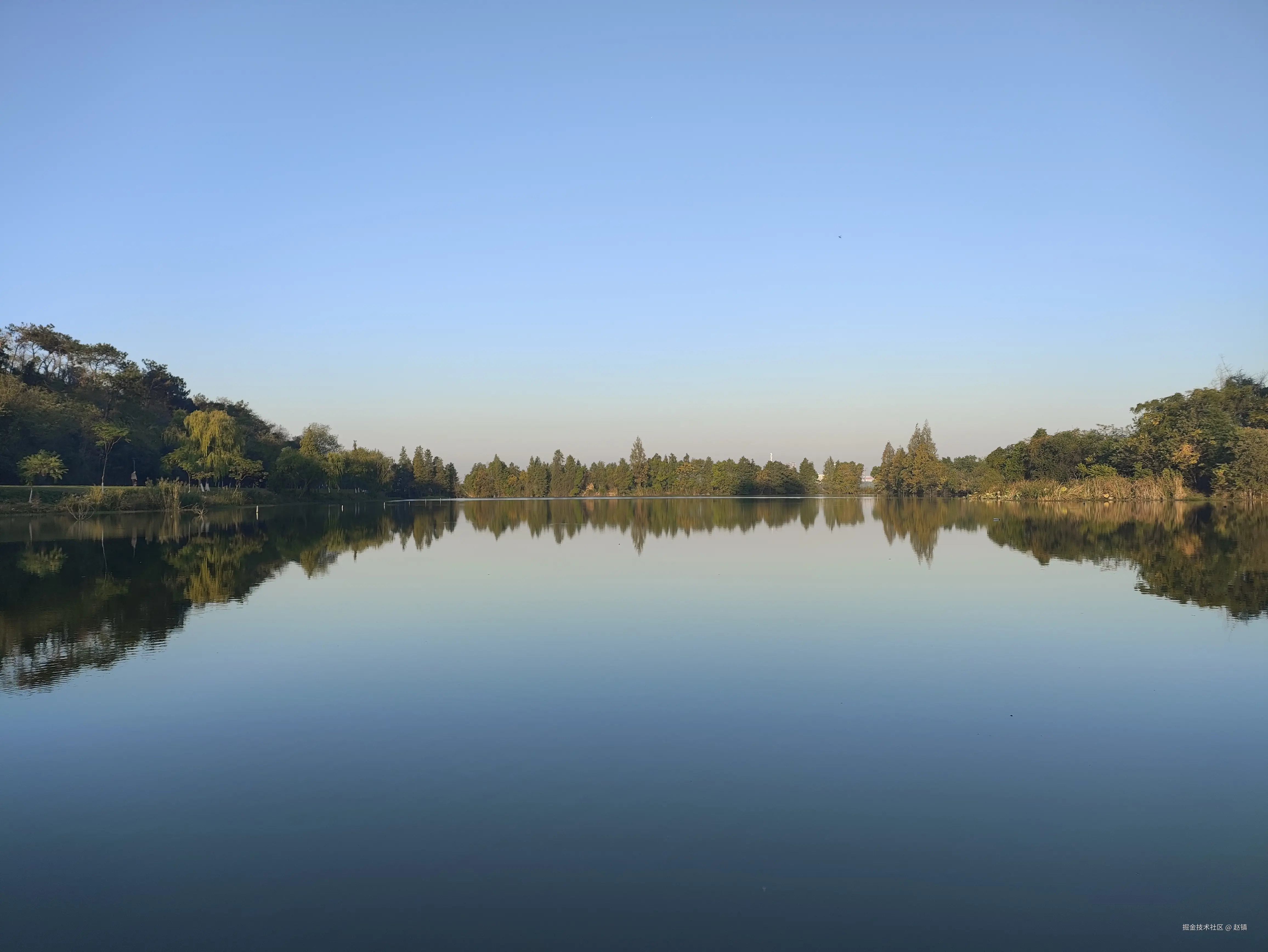 赵镇于2024-10-31 09:59发布的图片