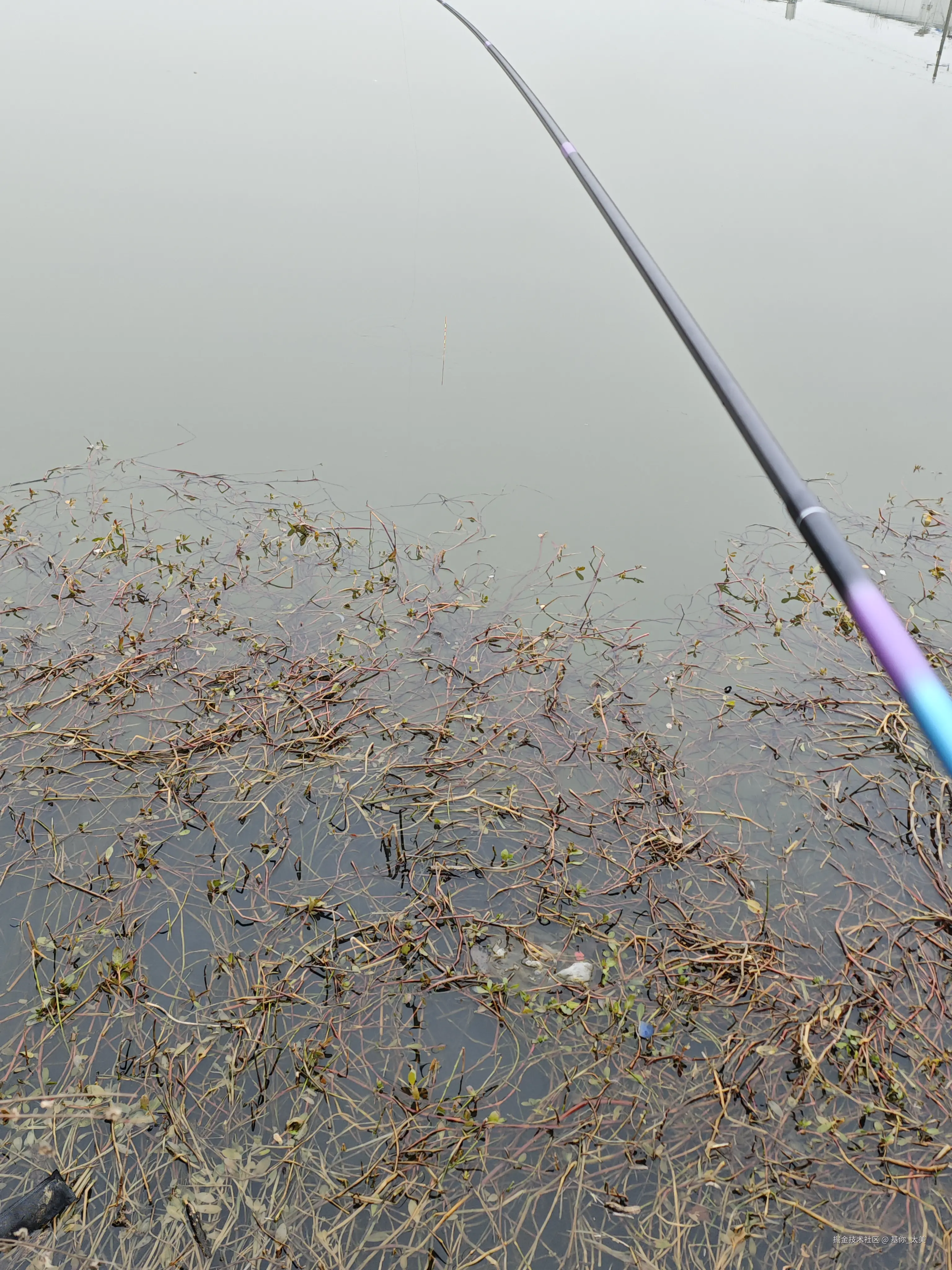 基你_太美于2026-02-05 15:14发布的图片