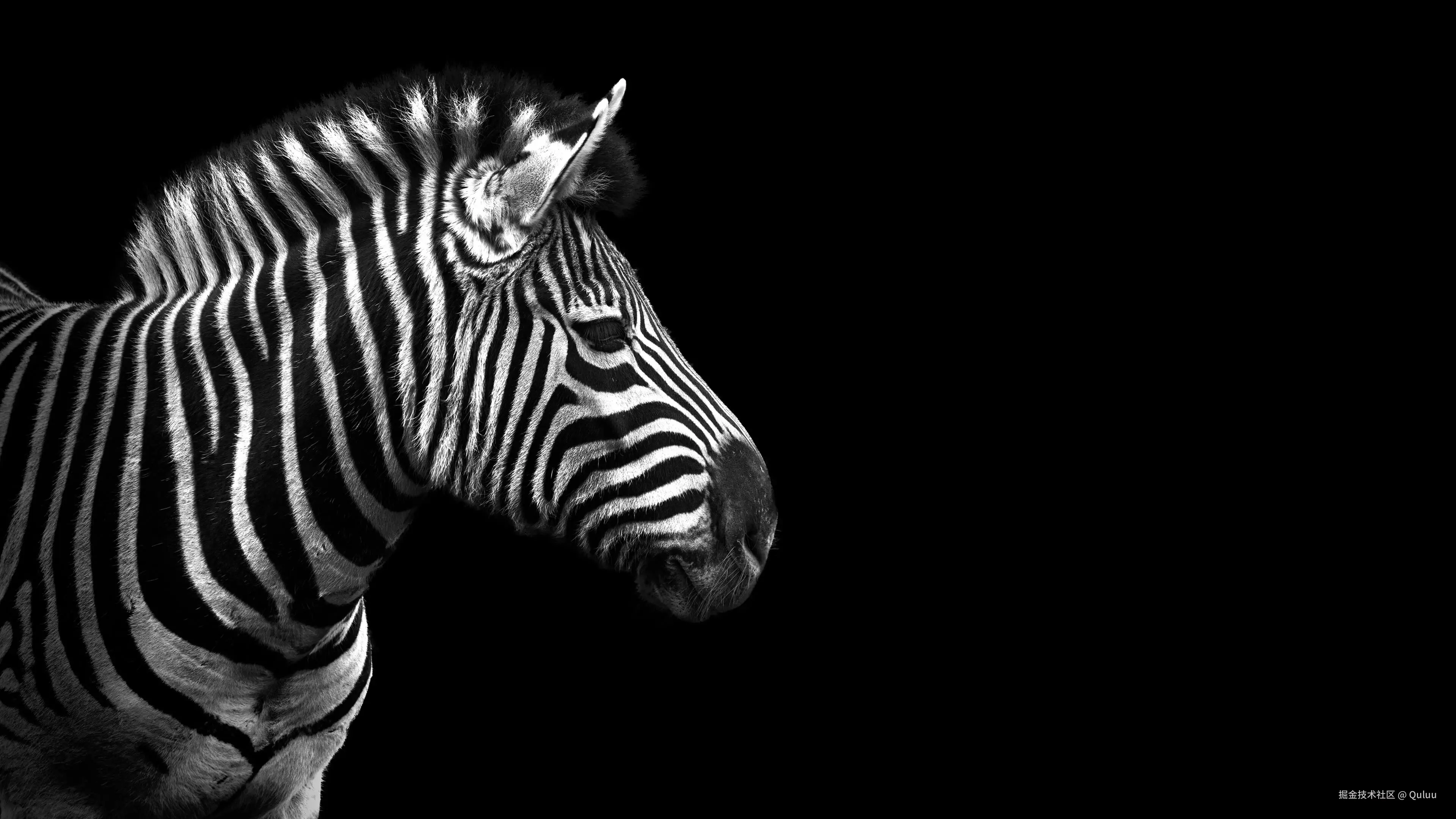 Redis（持续更新）