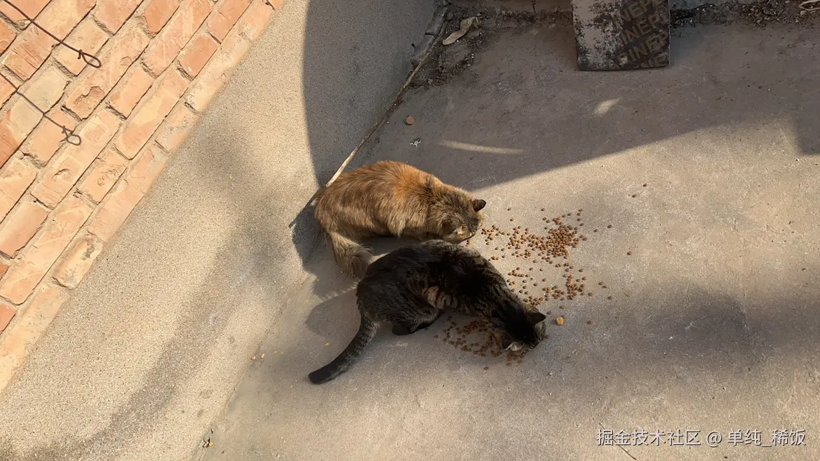 单纯_稀饭于2025-12-04 11:35发布的图片