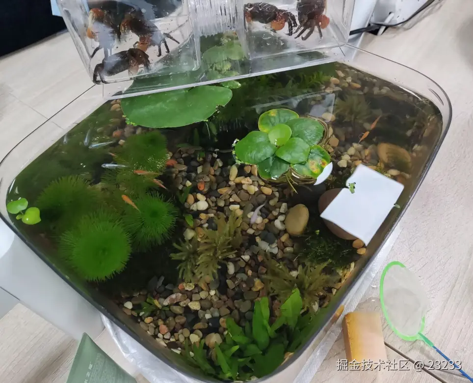 23233于2025-01-15 14:12发布的图片