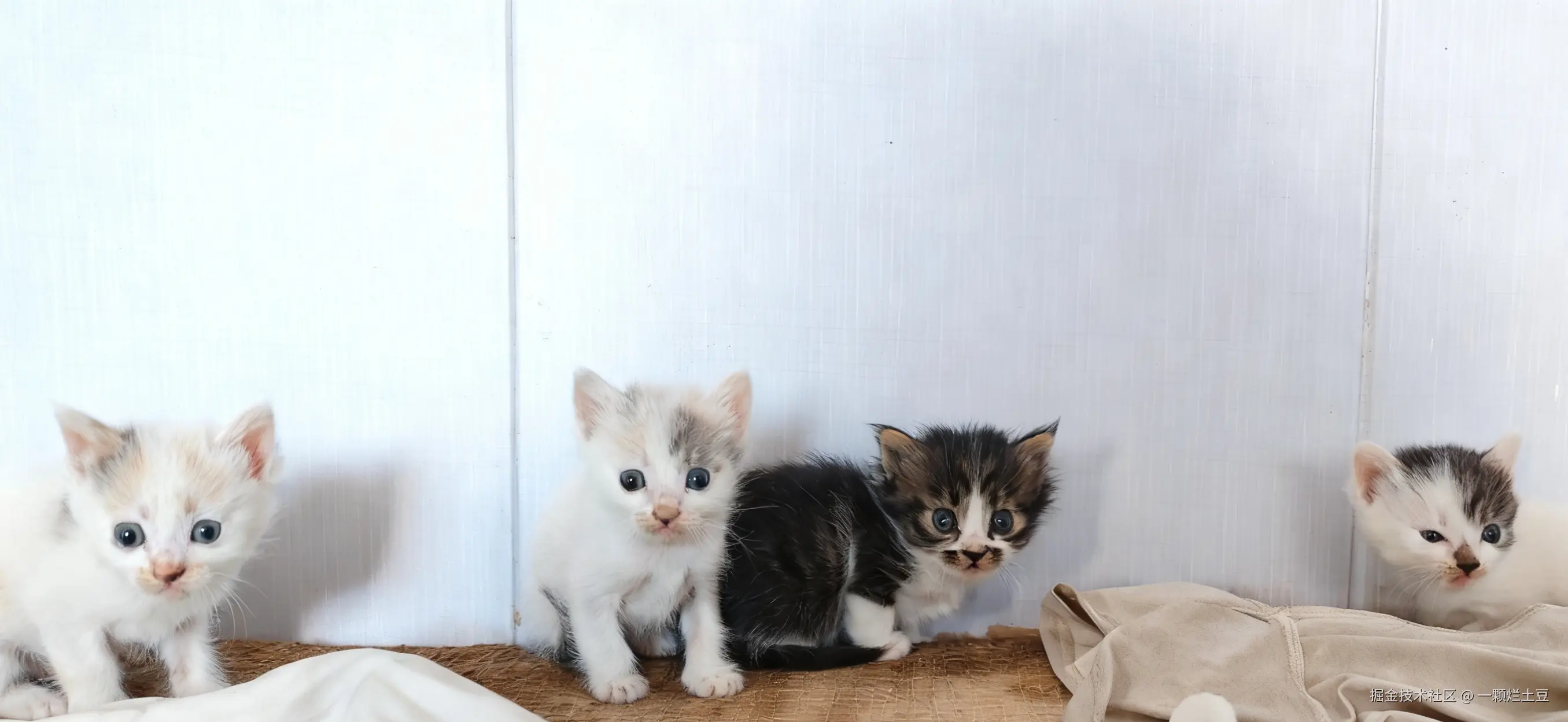 一颗烂土豆于2025-12-01 17:40发布的图片