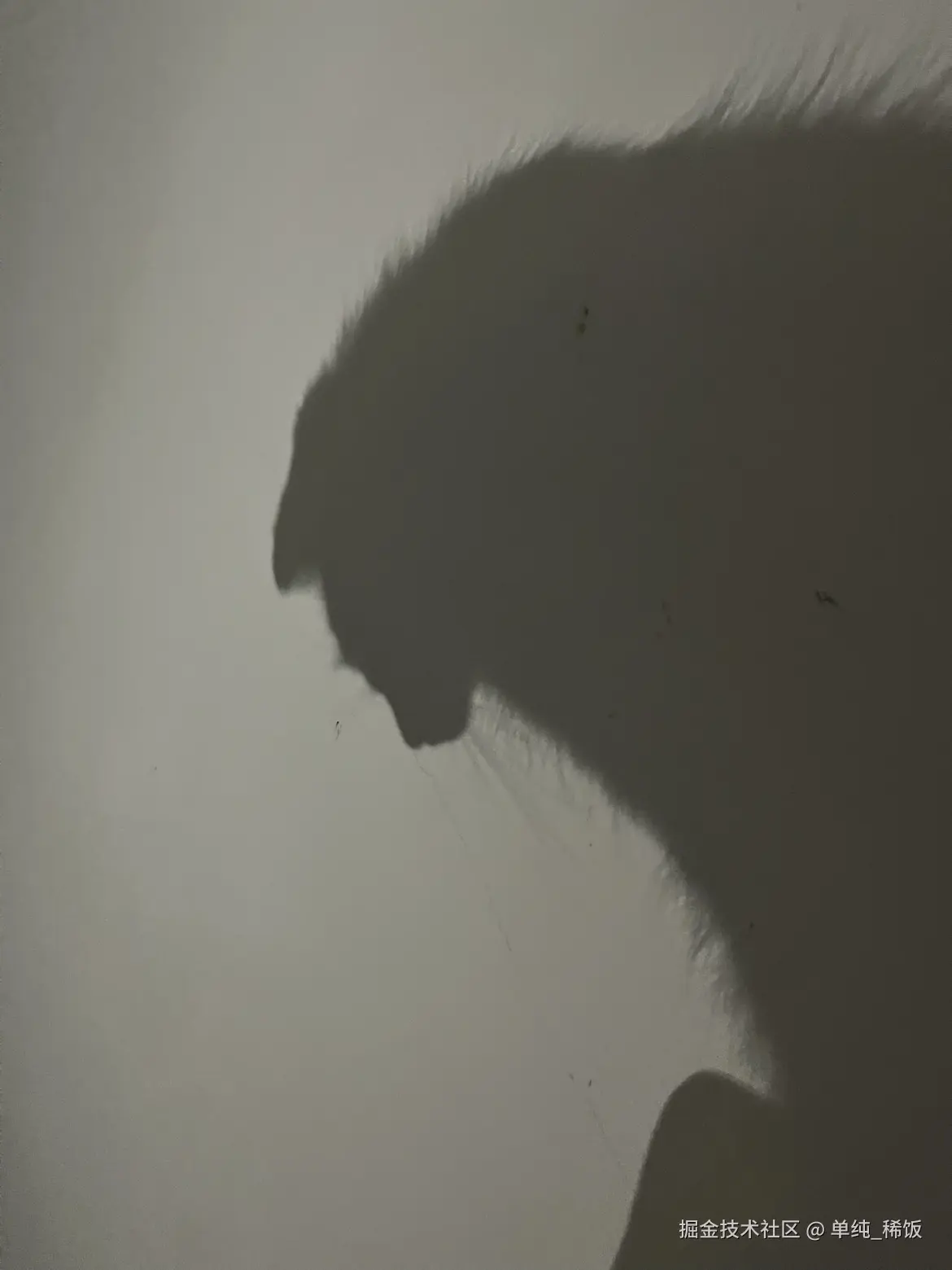 单纯_稀饭于2025-04-06 10:20发布的图片