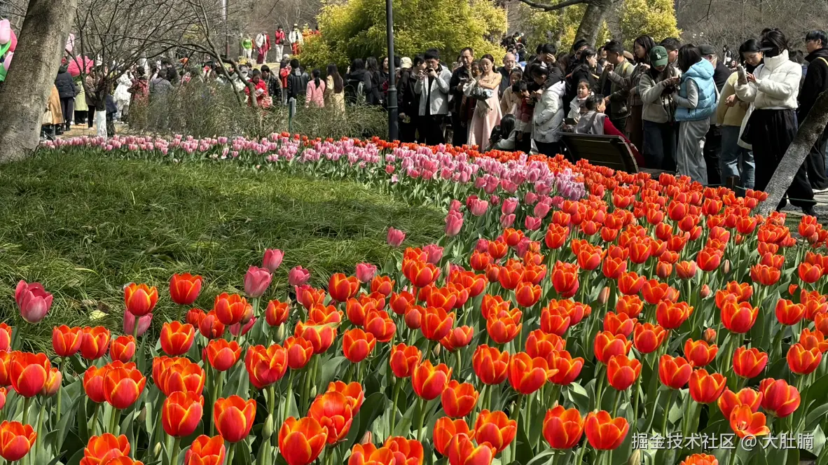 大肚腩于2025-03-15 13:54发布的图片