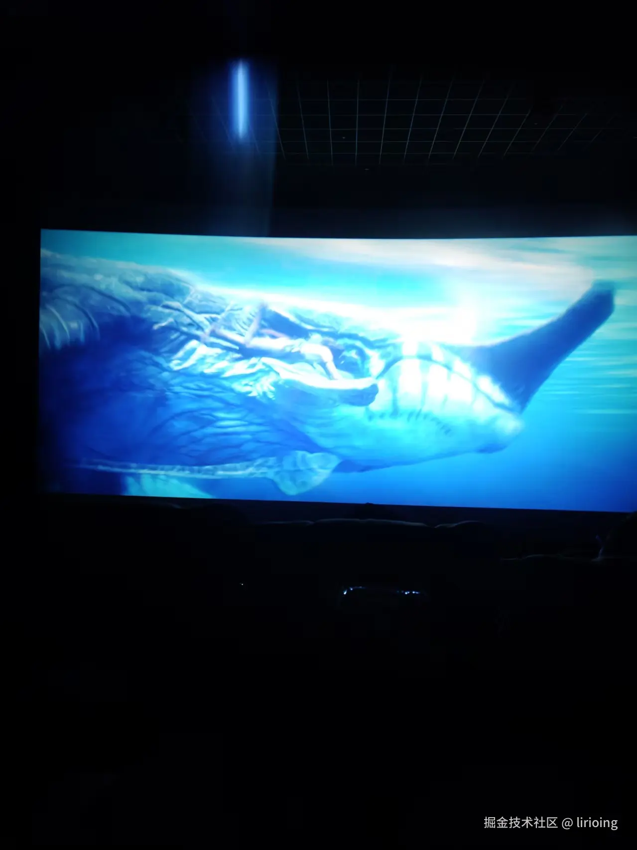 lirioing于2025-12-22 14:32发布的图片