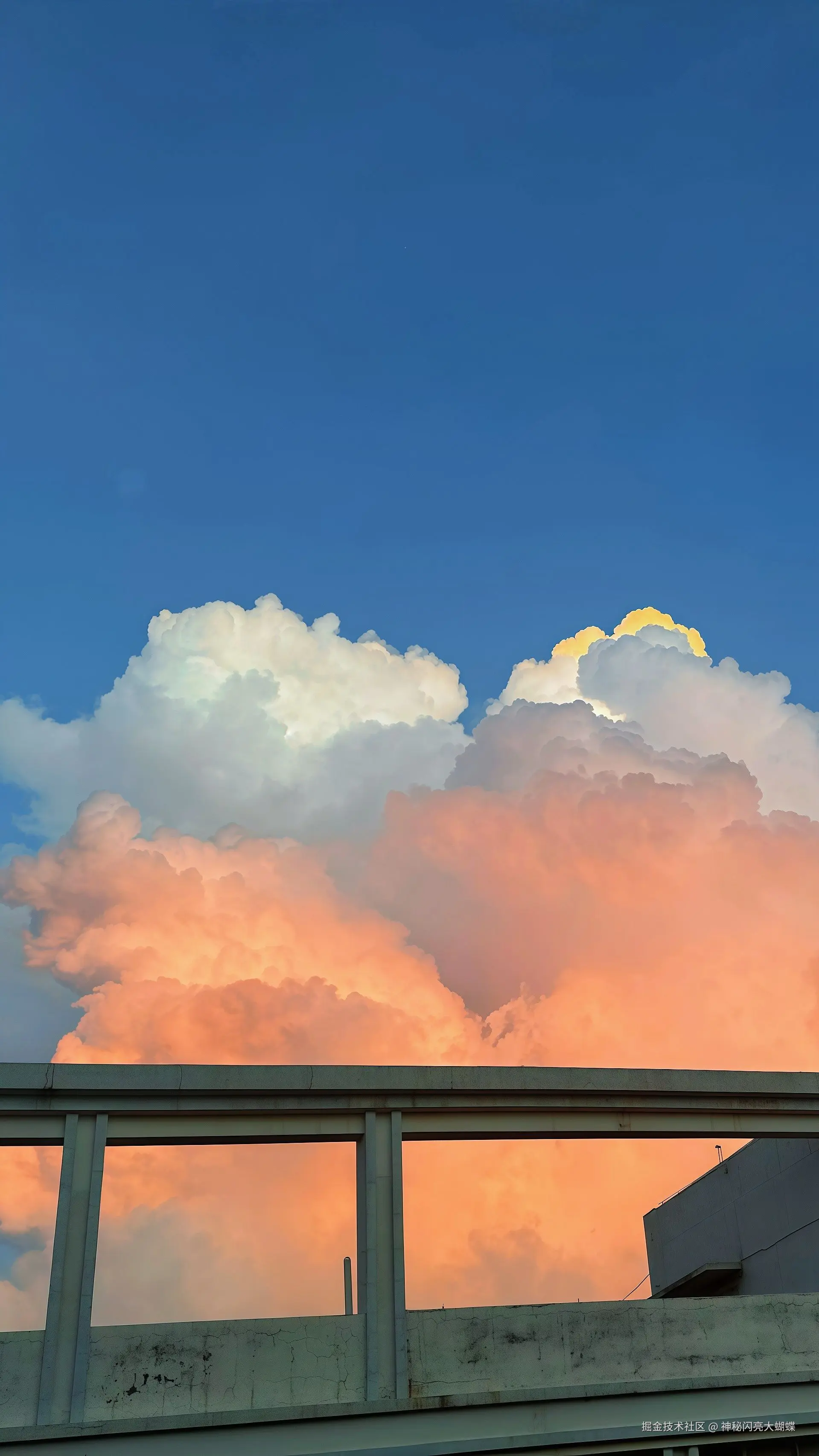 神秘闪亮大蝴蝶于2026-04-22 11:42发布的图片