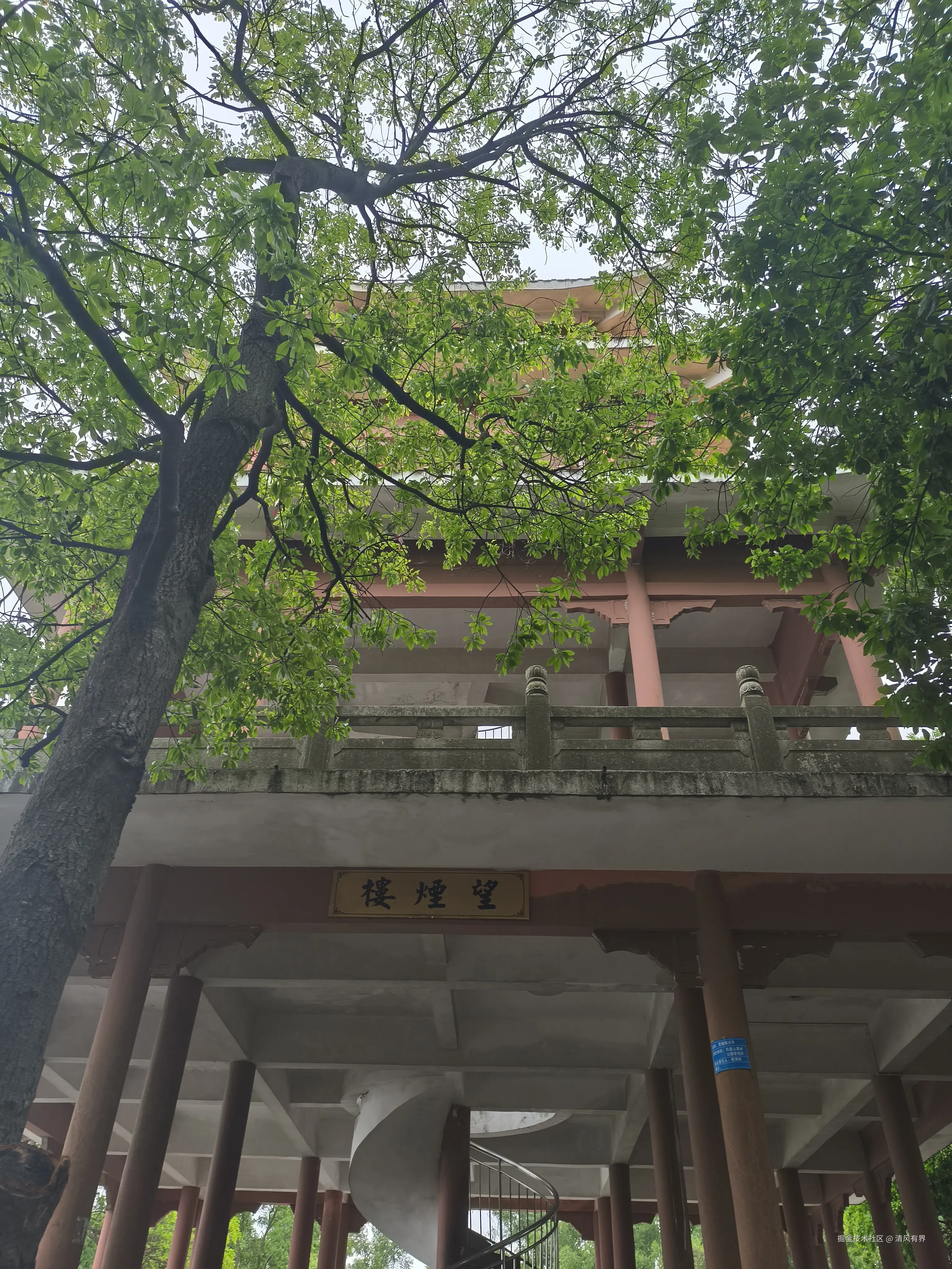 清风有界于2026-04-10 14:17发布的图片