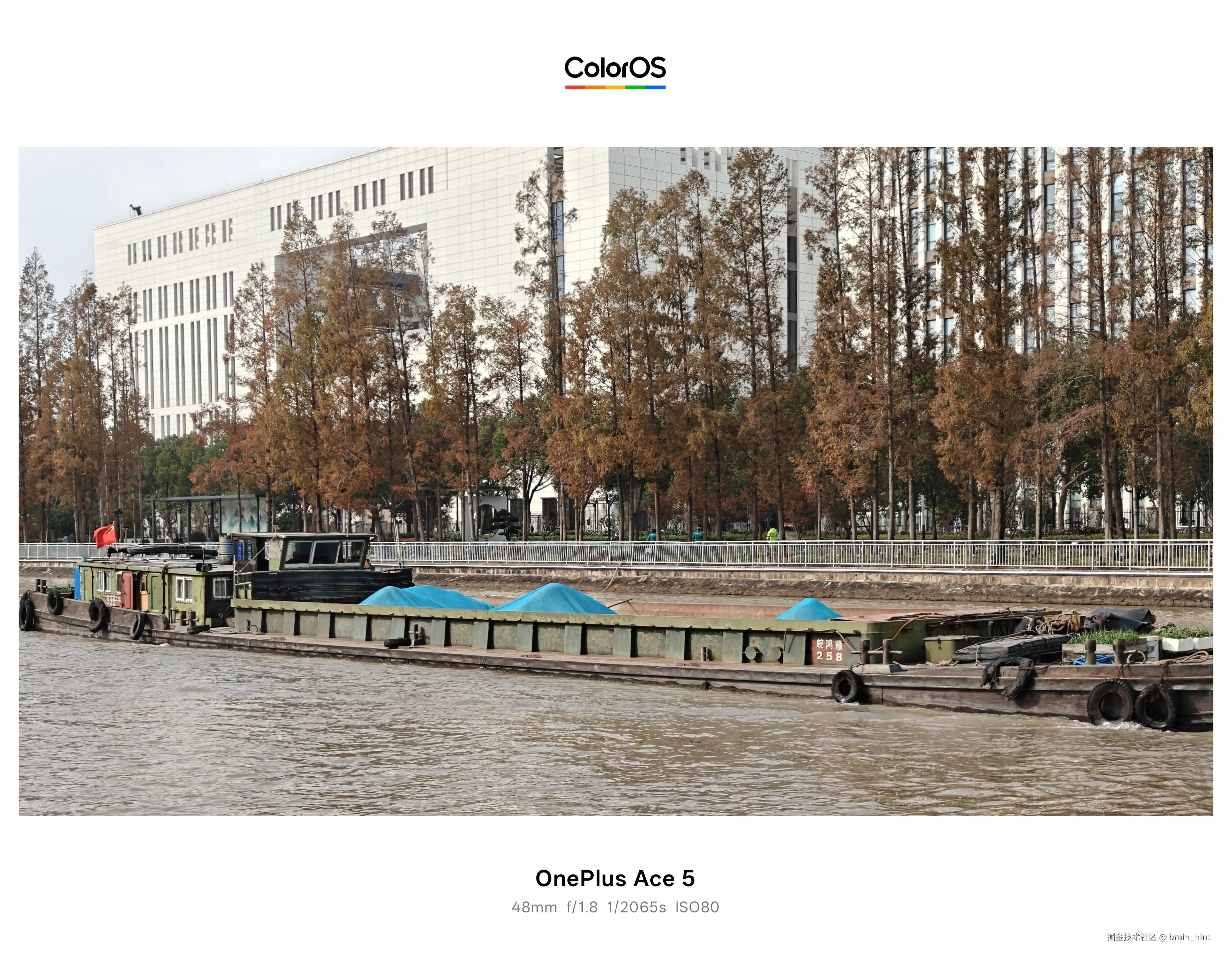 brain_hint于2025-12-01 13:23发布的图片