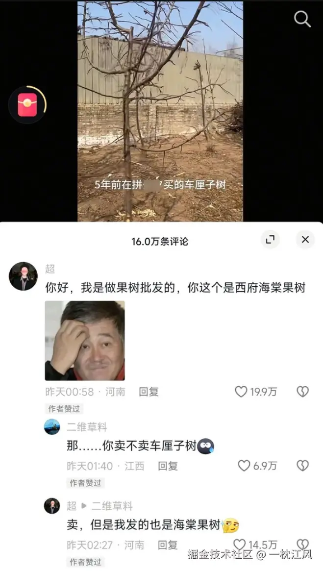 一枕江风于2025-03-25 14:24发布的图片