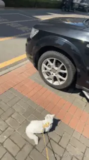 就爱吃火锅于2025-05-27 10:27发布的图片