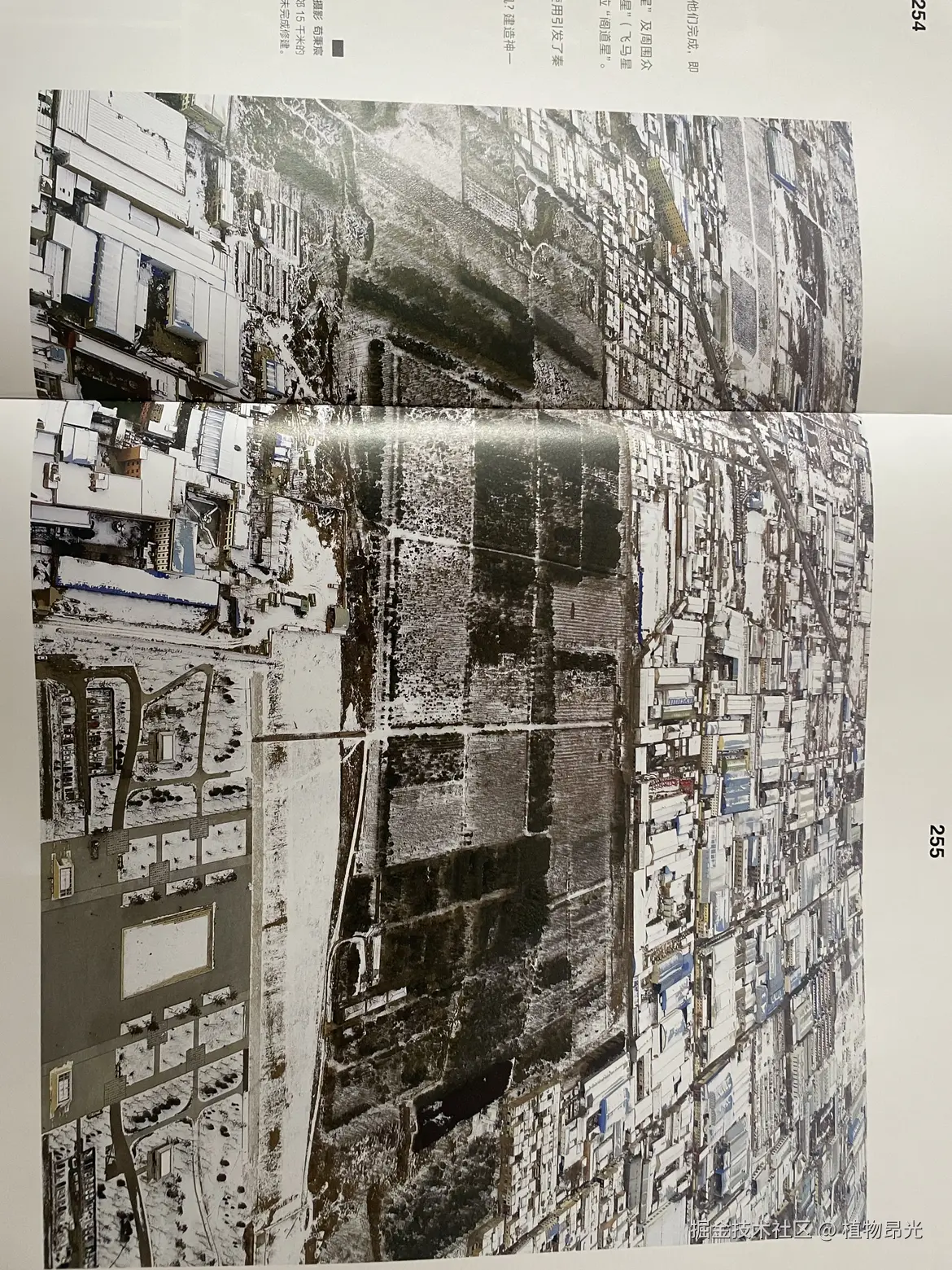 植物昂光于2026-03-30 21:11发布的图片