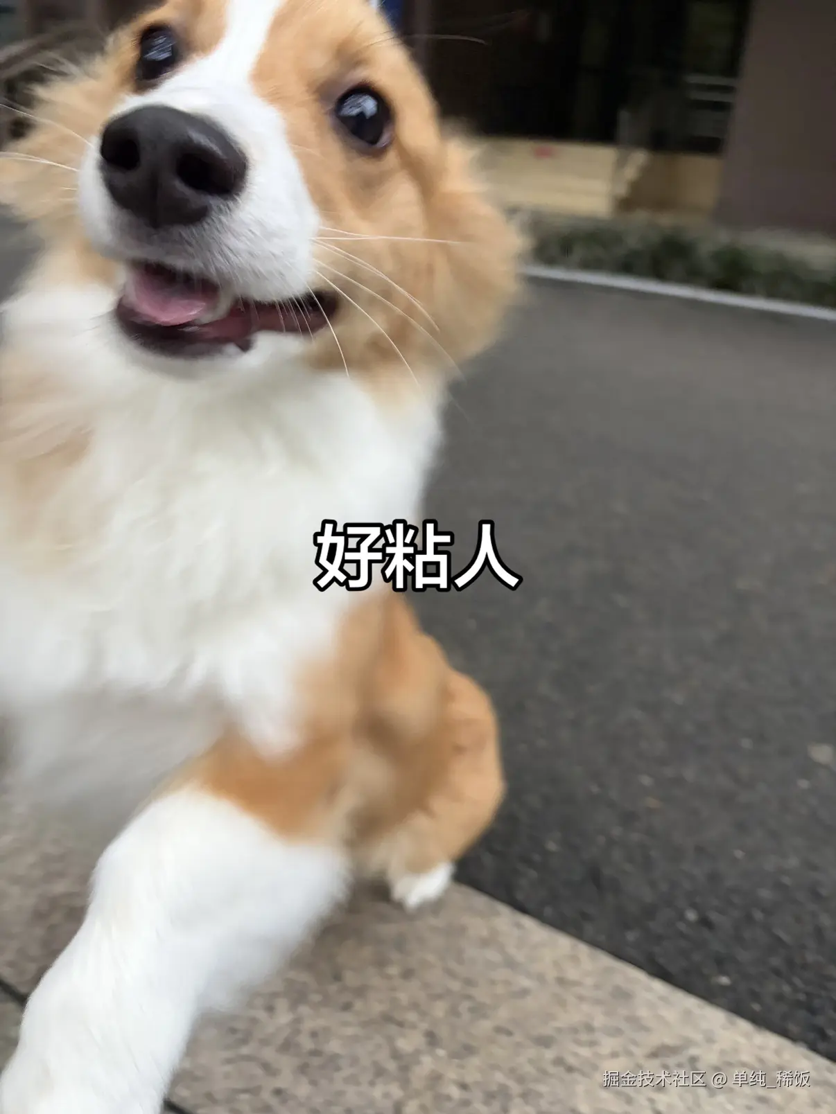 单纯_稀饭于2026-03-31 08:18发布的图片