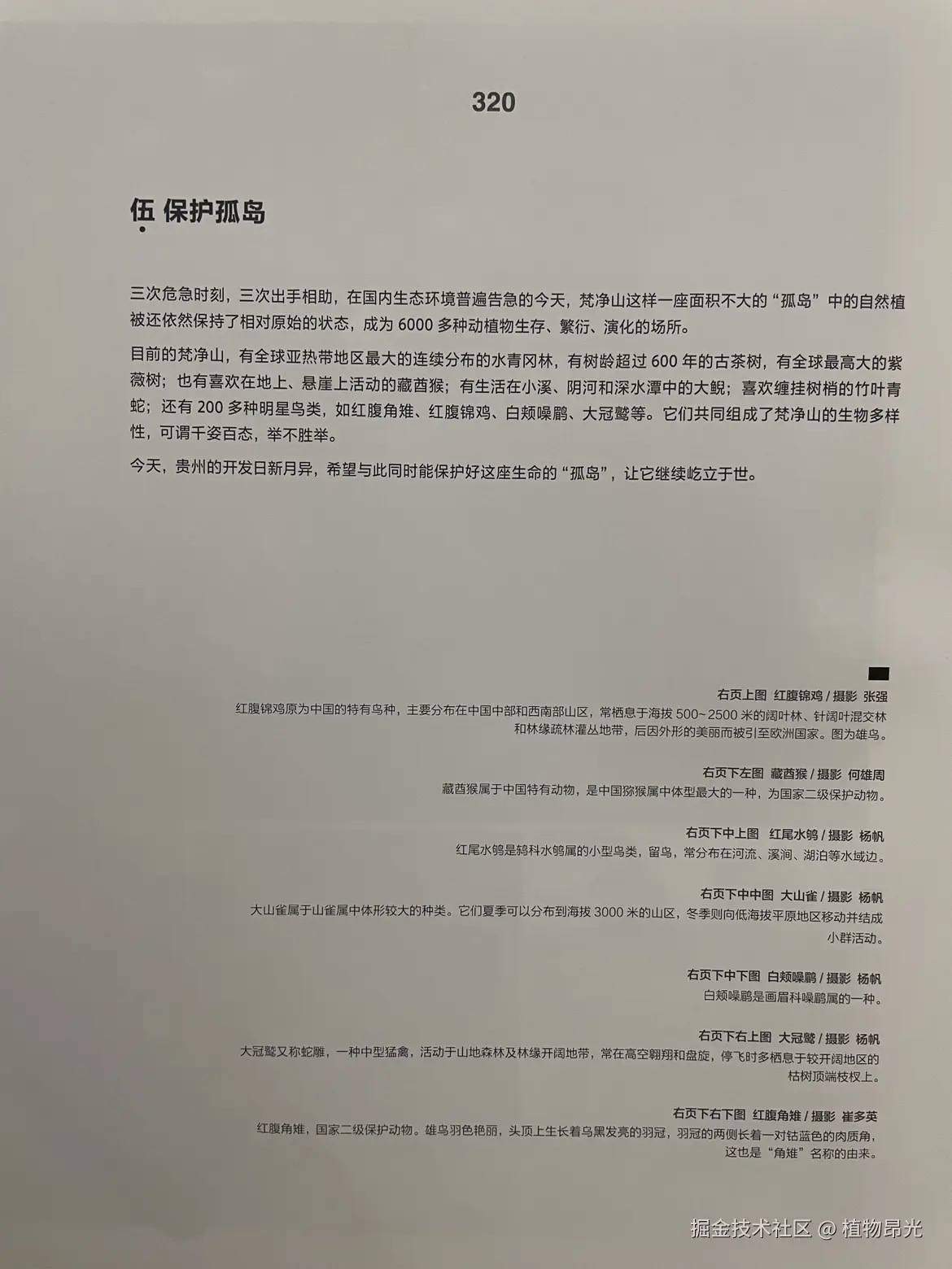 植物昂光于2026-04-08 15:28发布的图片