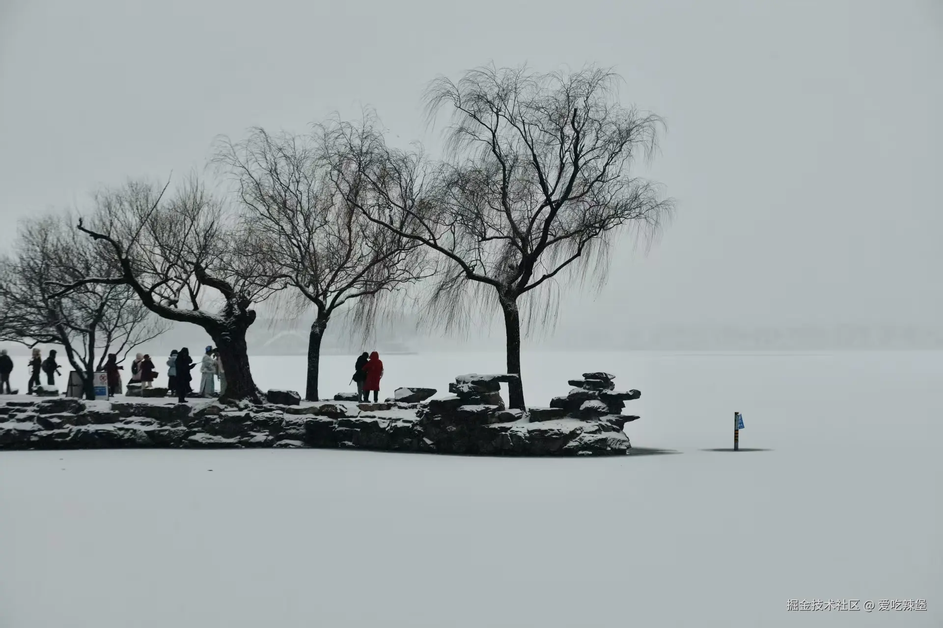 爱吃辣堡于2025-12-12 16:51发布的图片