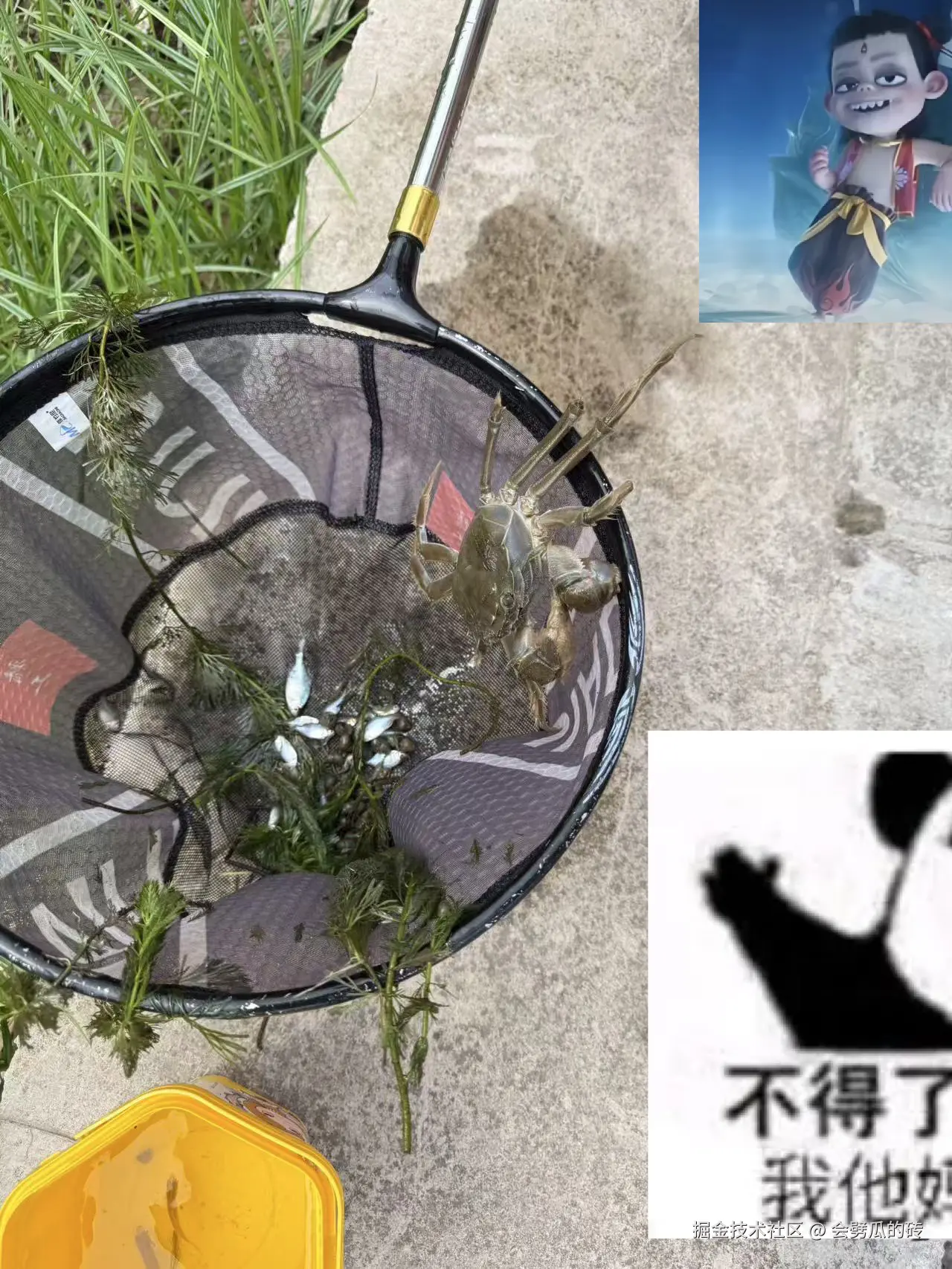 会劈瓜的砖于2025-09-22 09:43发布的图片