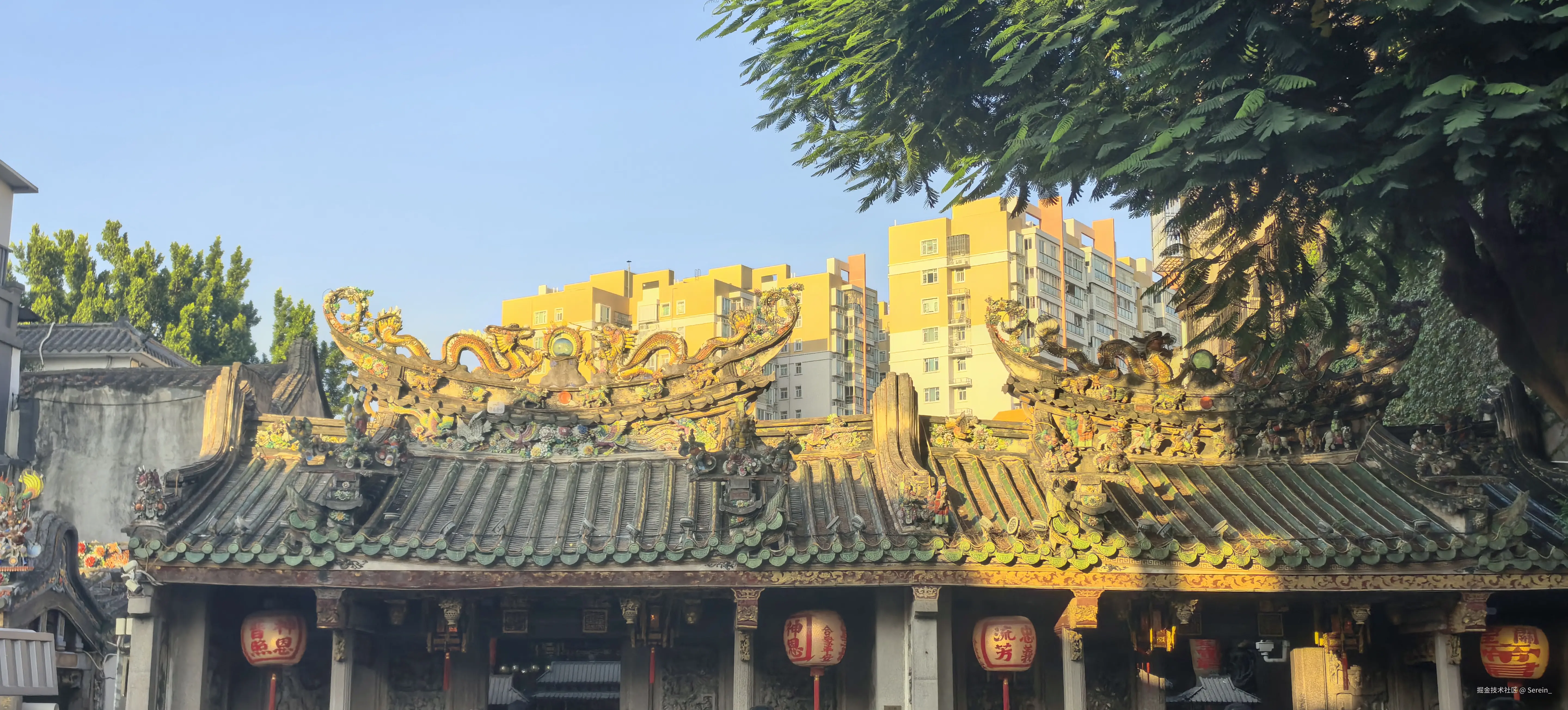 Serein_于2025-10-03 20:51发布的图片