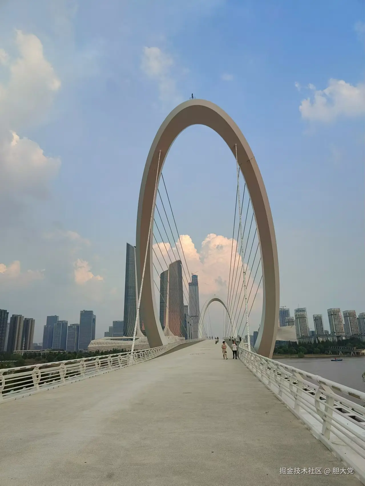 胆大党于2024-08-08 17:13发布的图片