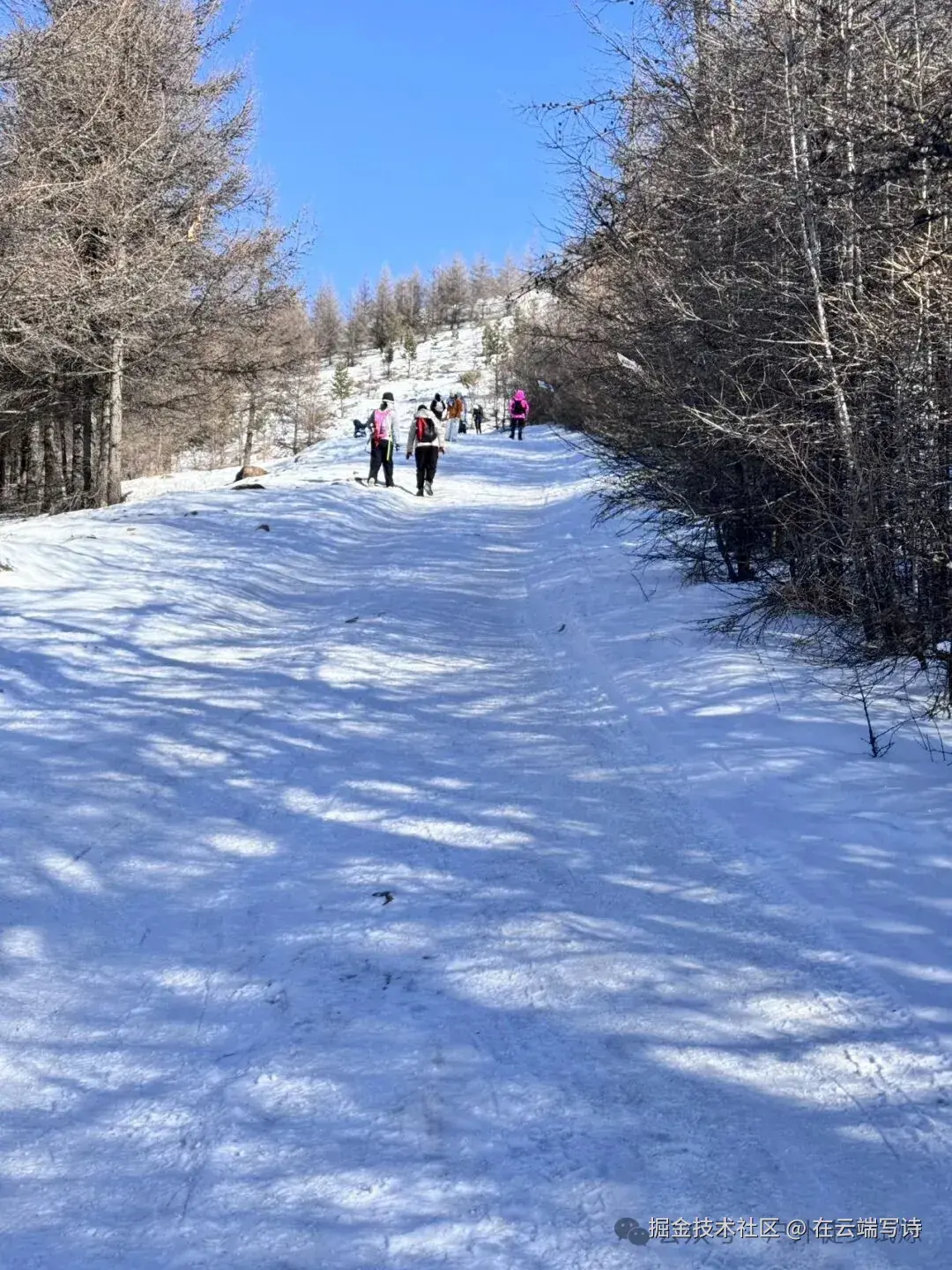 在云端写诗于2026-01-04 02:40发布的图片