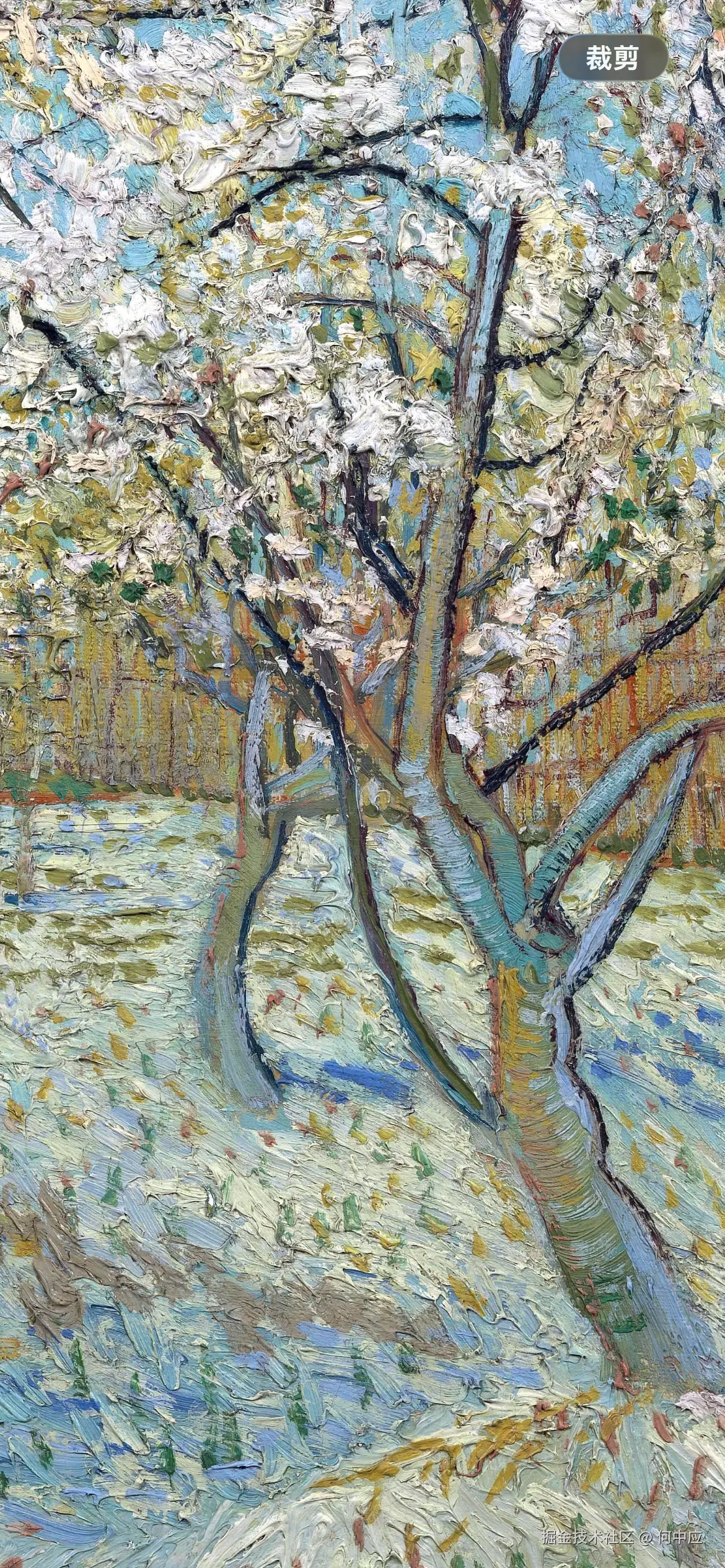 何中应于2026-03-14 13:36发布的图片