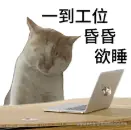 呱呱呱呱呱呱尽快于2025-12-29 09:23发布的图片