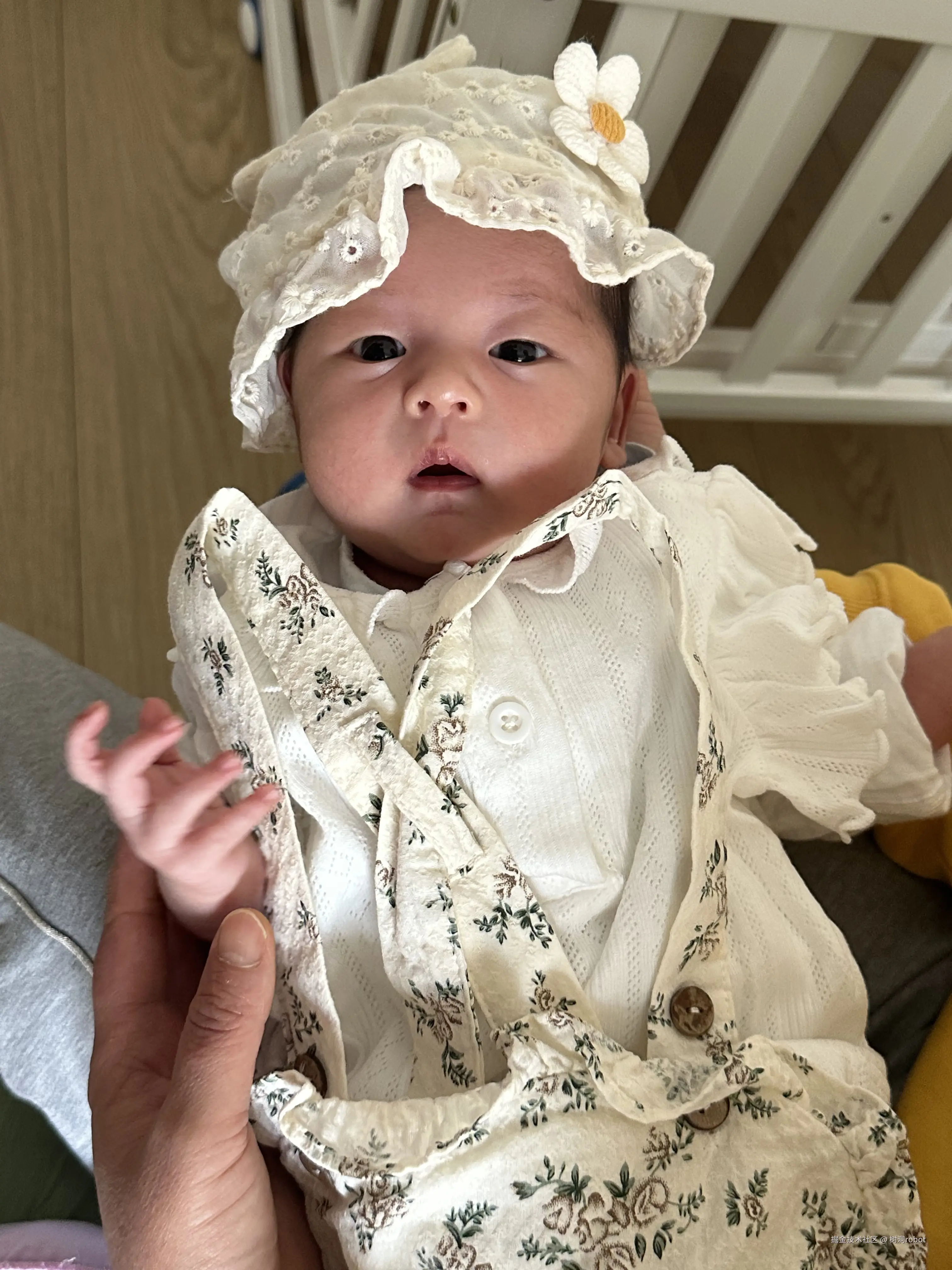 树洞robot于2025-06-16 11:32发布的图片