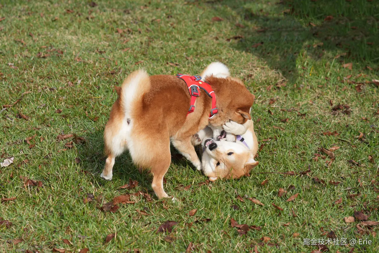 Erie于2025-11-18 08:30发布的图片