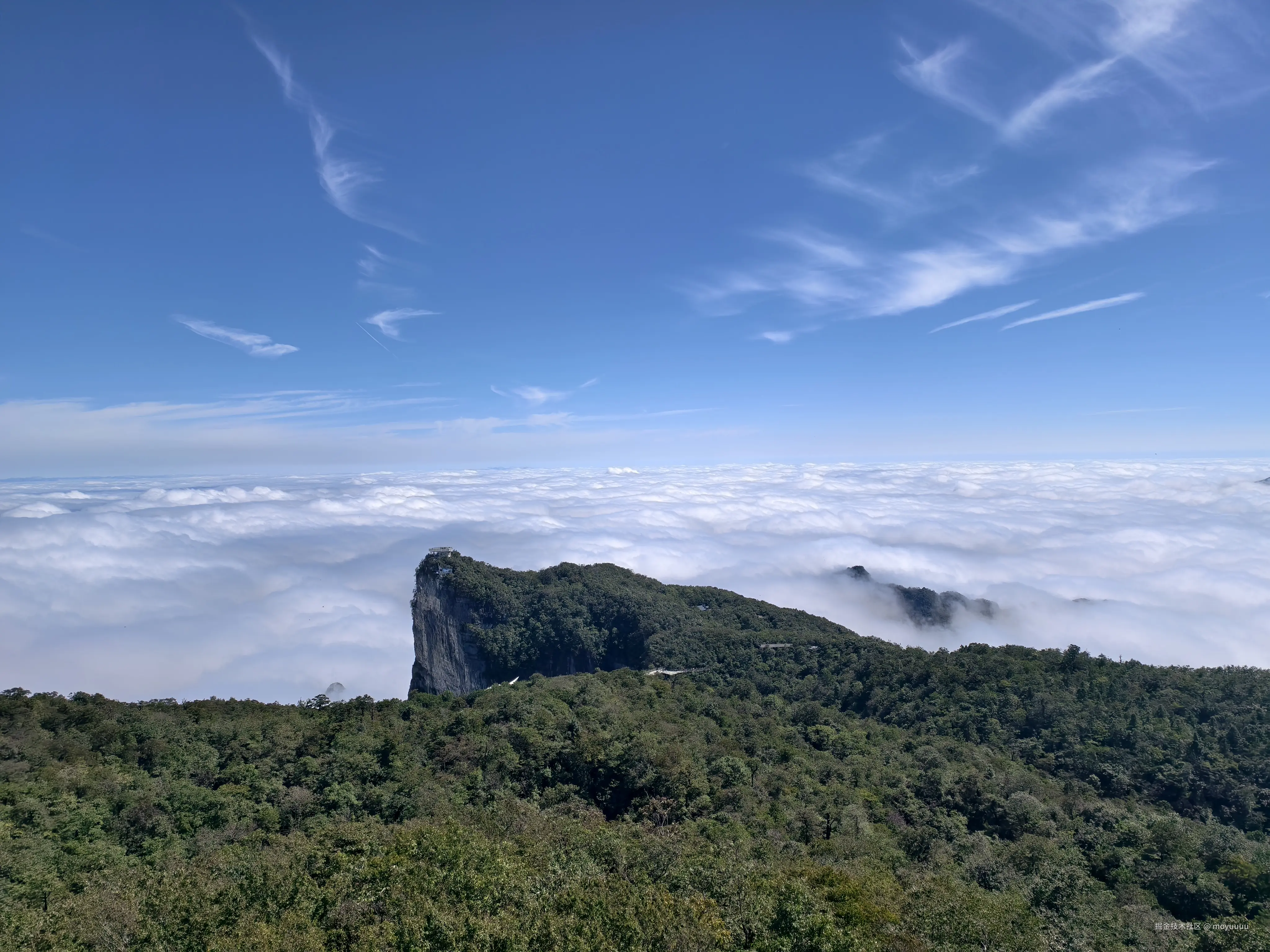 moyuuuu于2025-10-09 02:09发布的图片