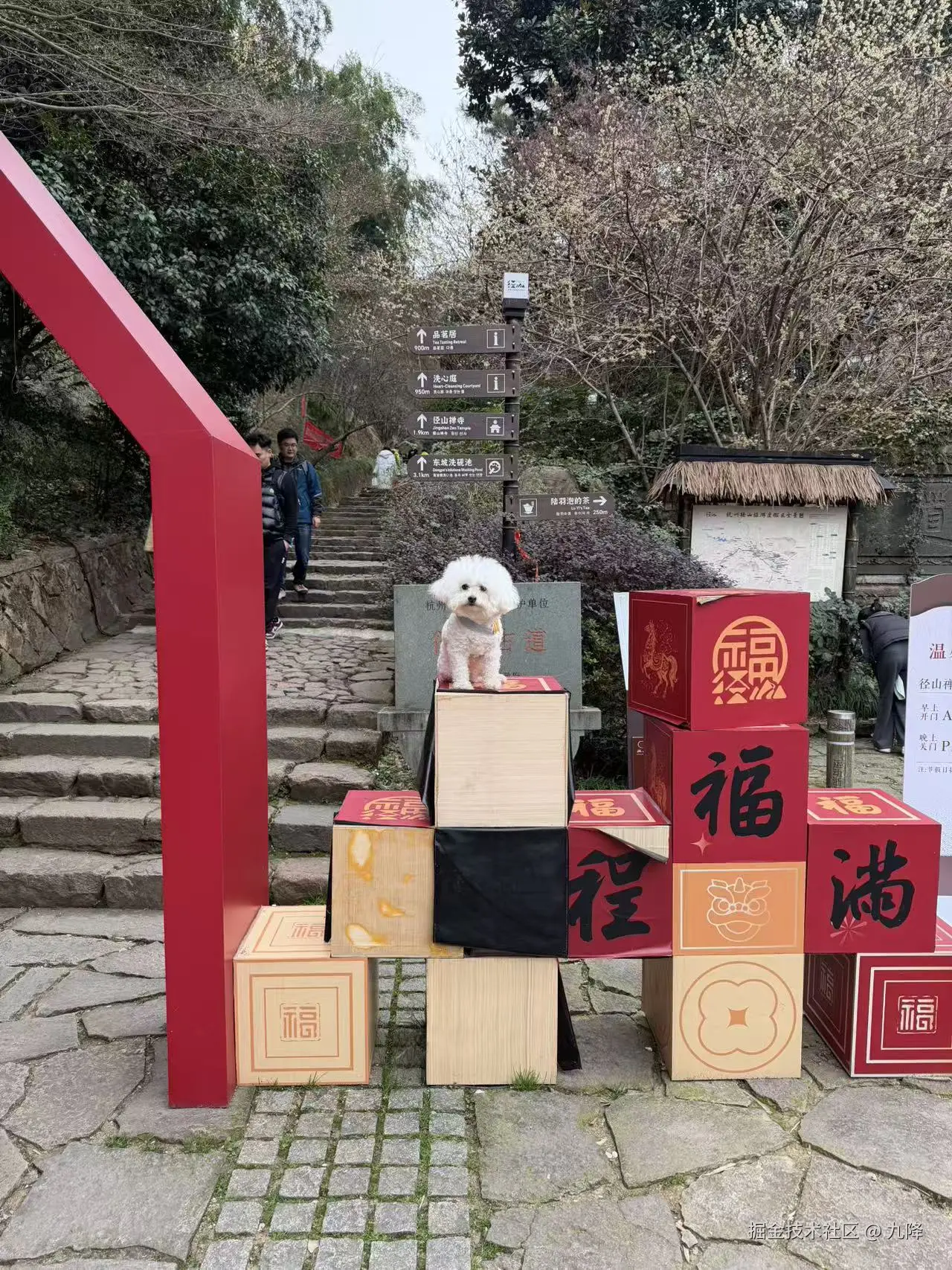 九降于2026-03-16 08:05发布的图片