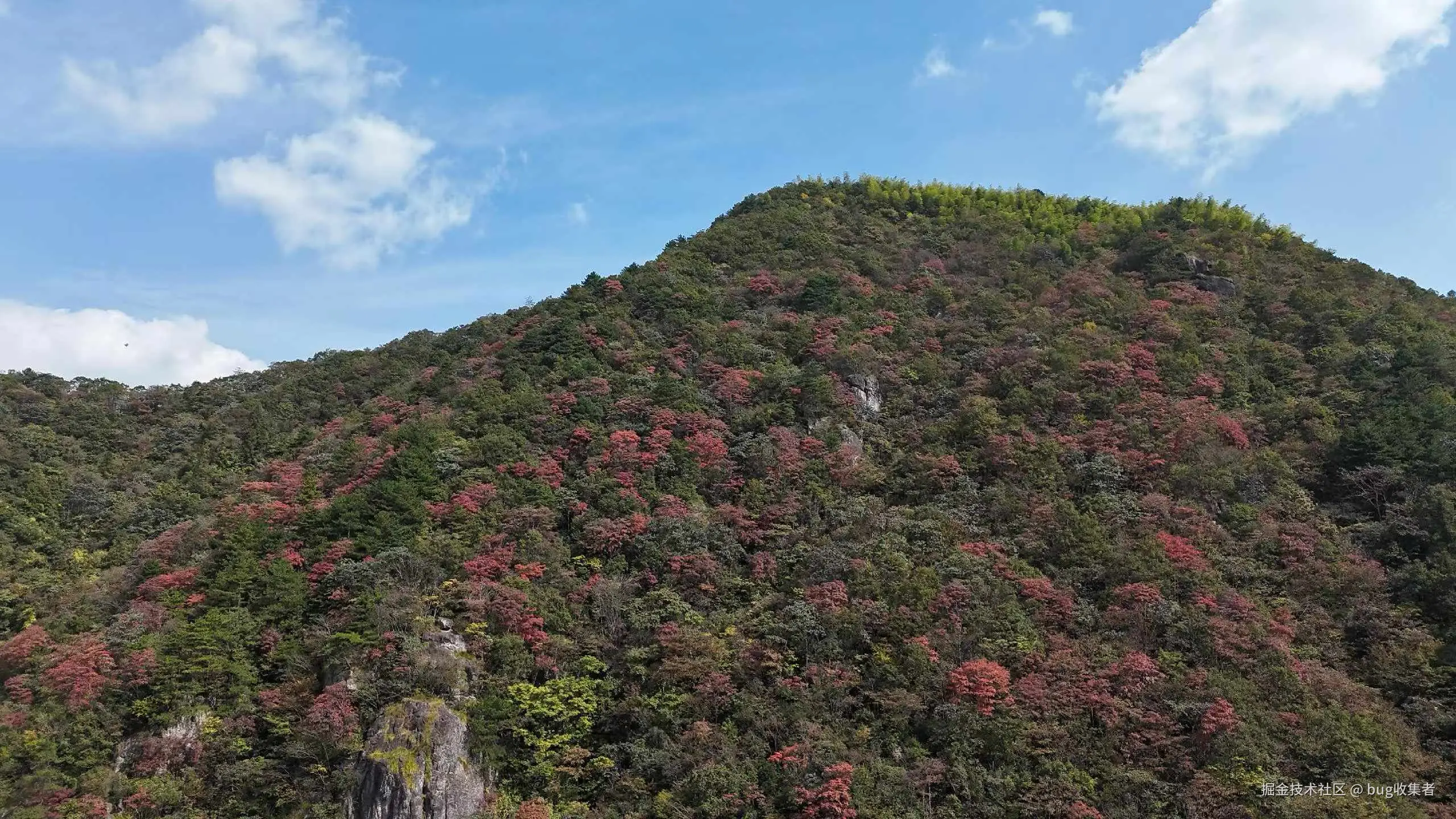 bug收集者于2025-11-03 11:16发布的图片