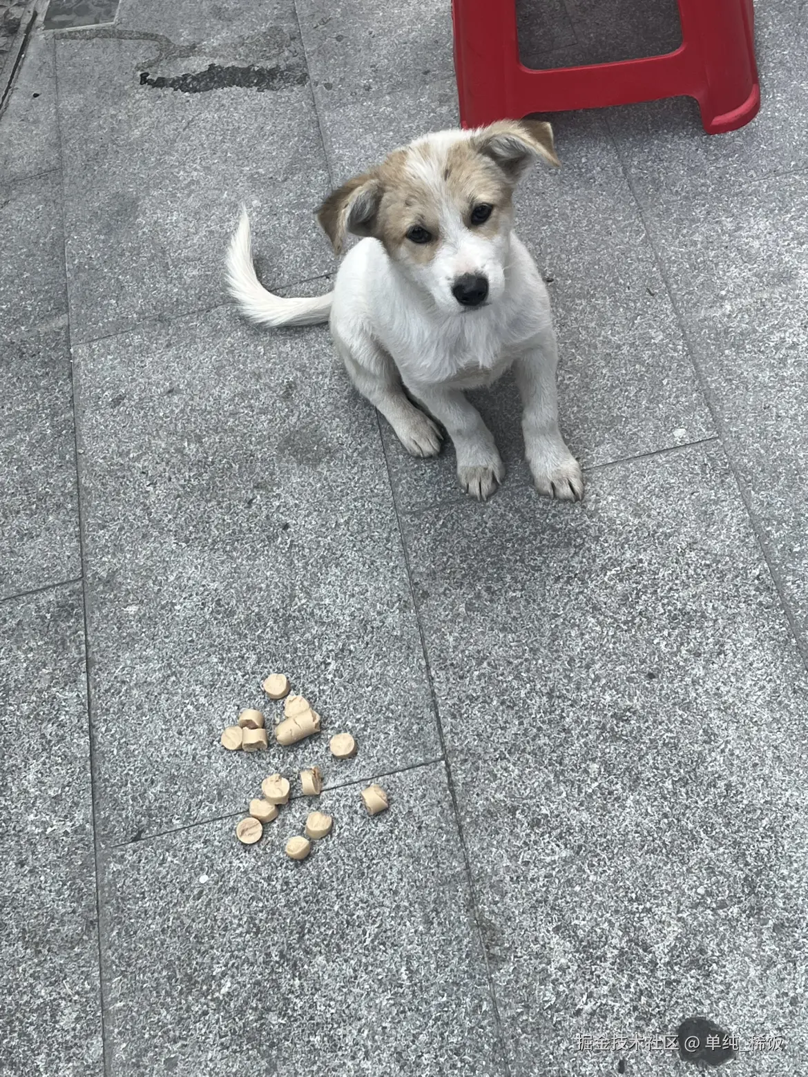 单纯_稀饭于2025-09-25 13:38发布的图片