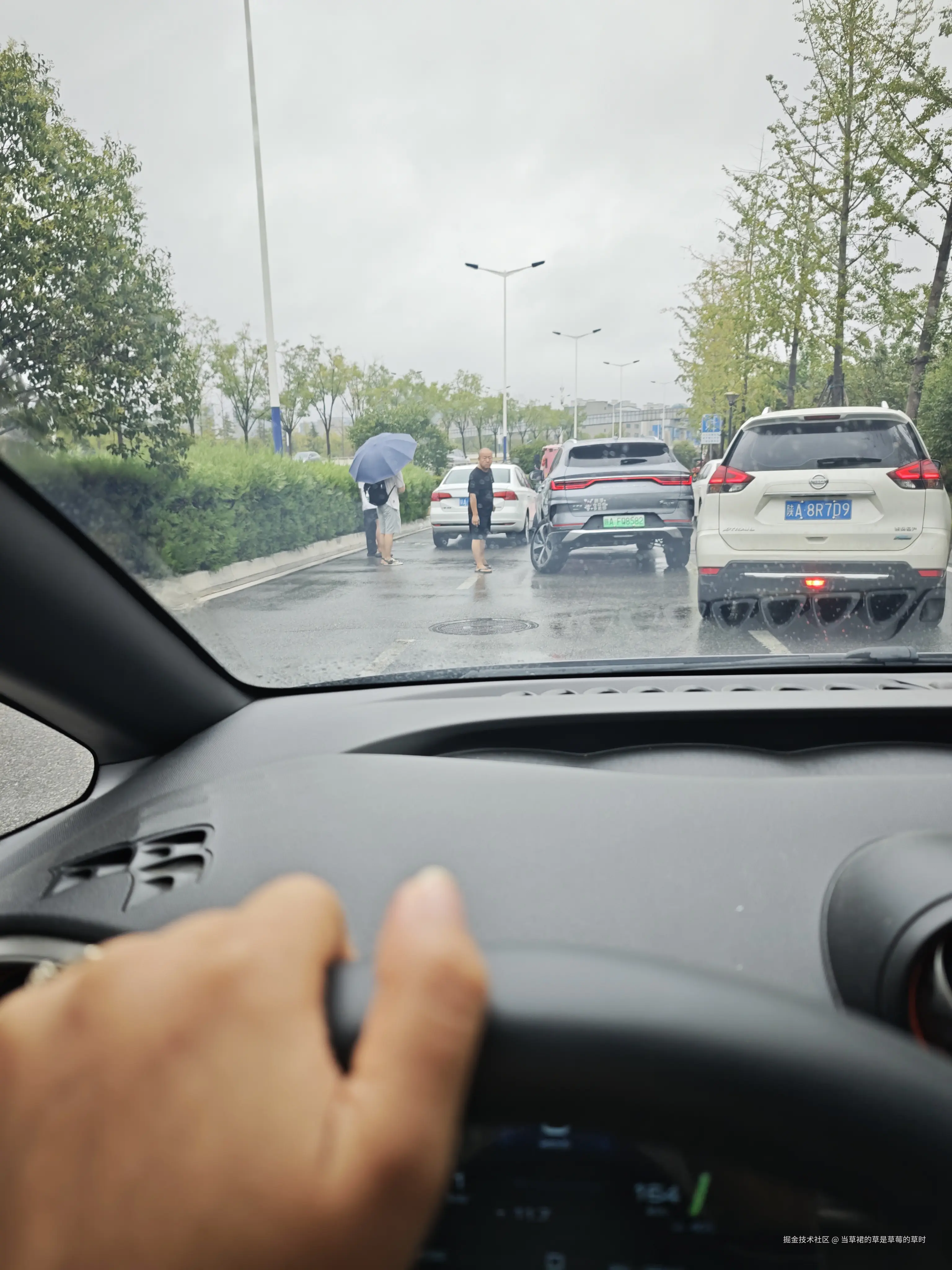 当草裙的草是草莓的草时于2025-08-05 10:21发布的图片