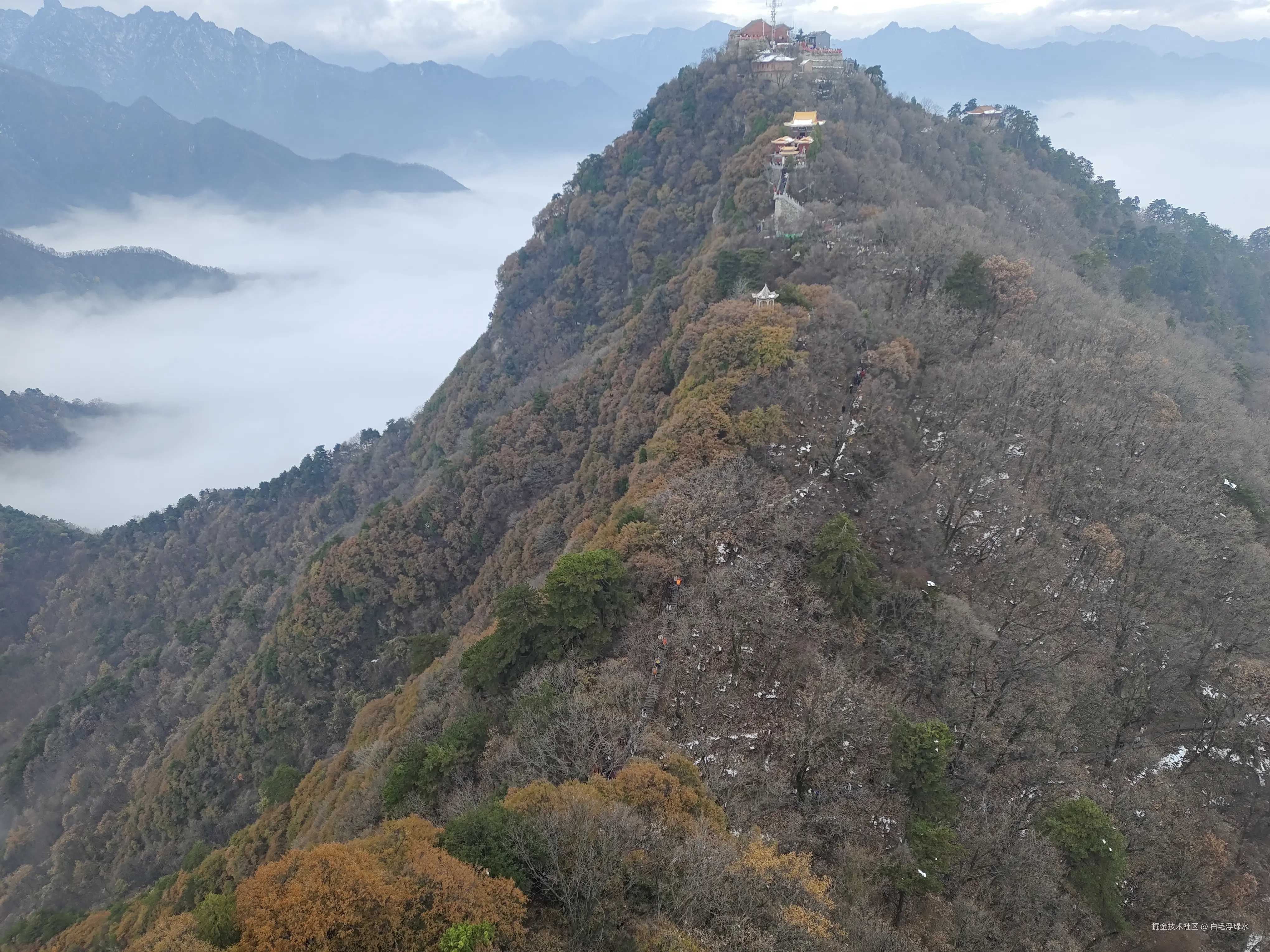 白毛浮绿水于2024-11-25 11:13发布的图片