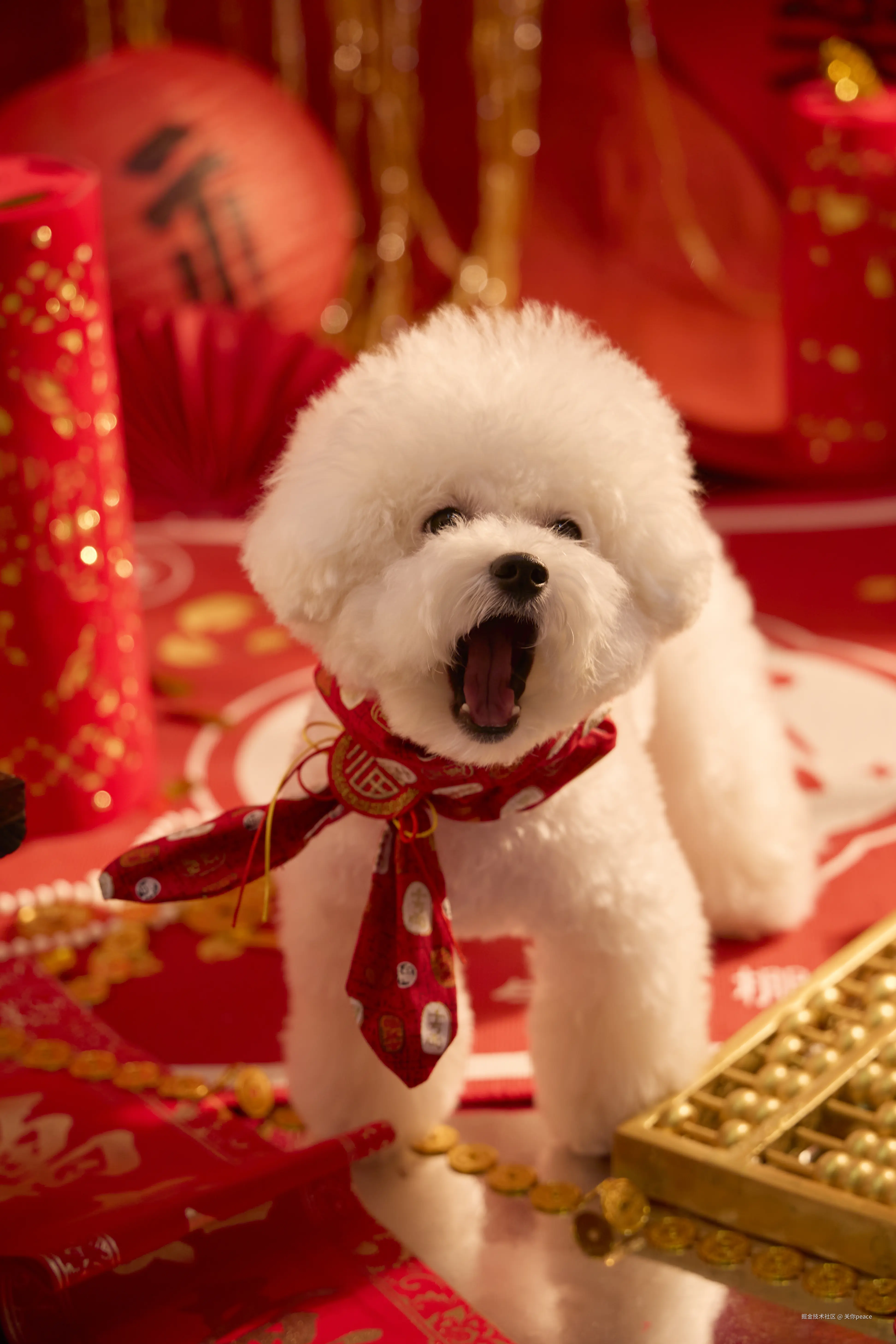 关你peace于2025-01-02 09:48发布的图片