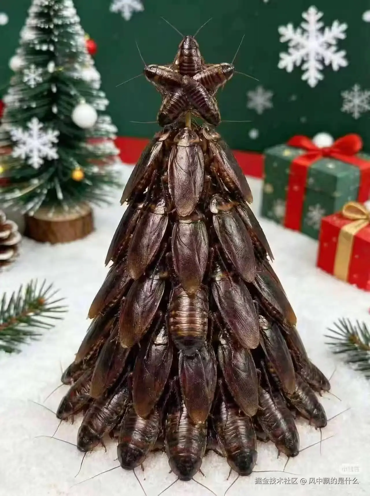 风中飘的是什么于2025-12-09 13:33发布的图片